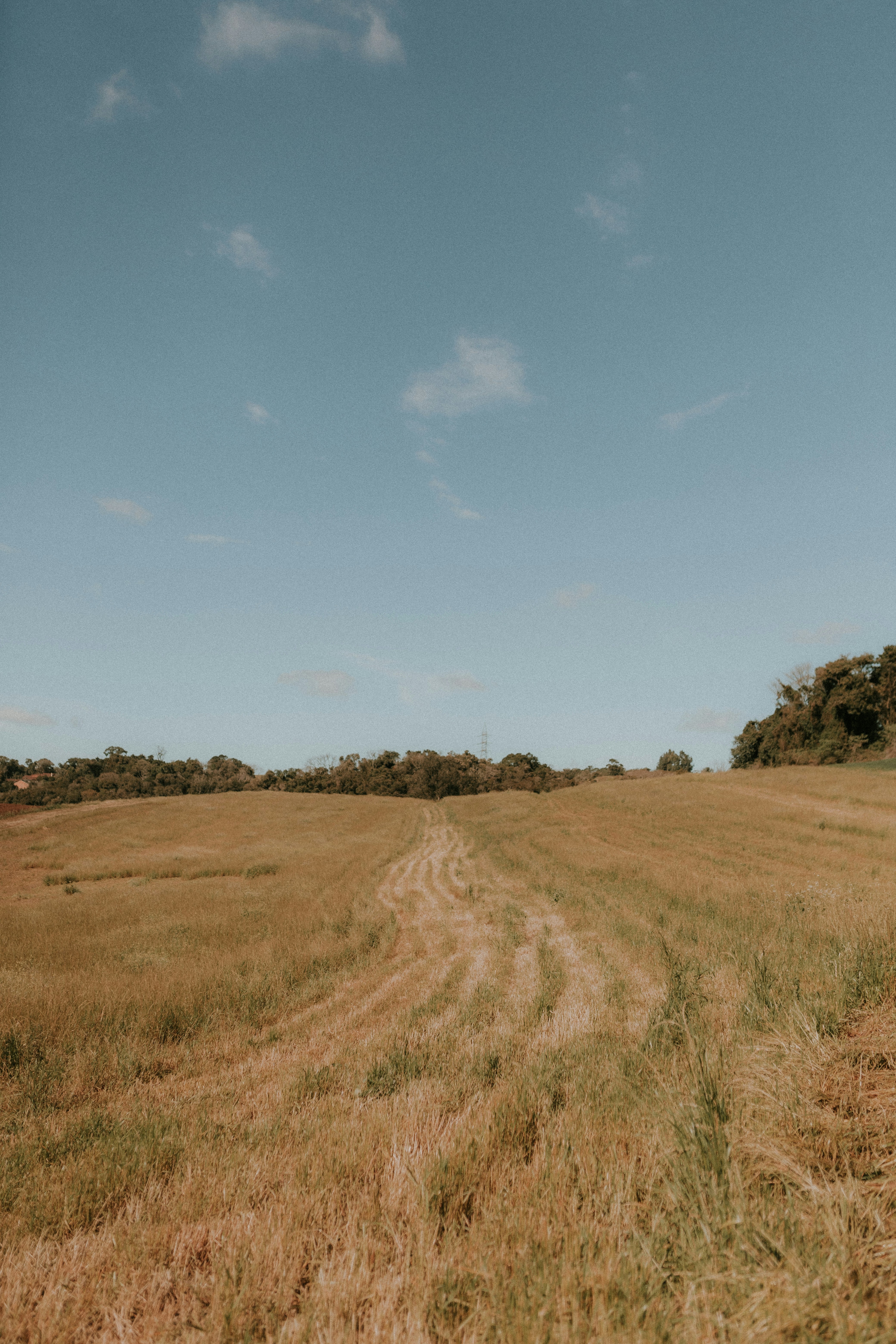 Photo by alexandermassph