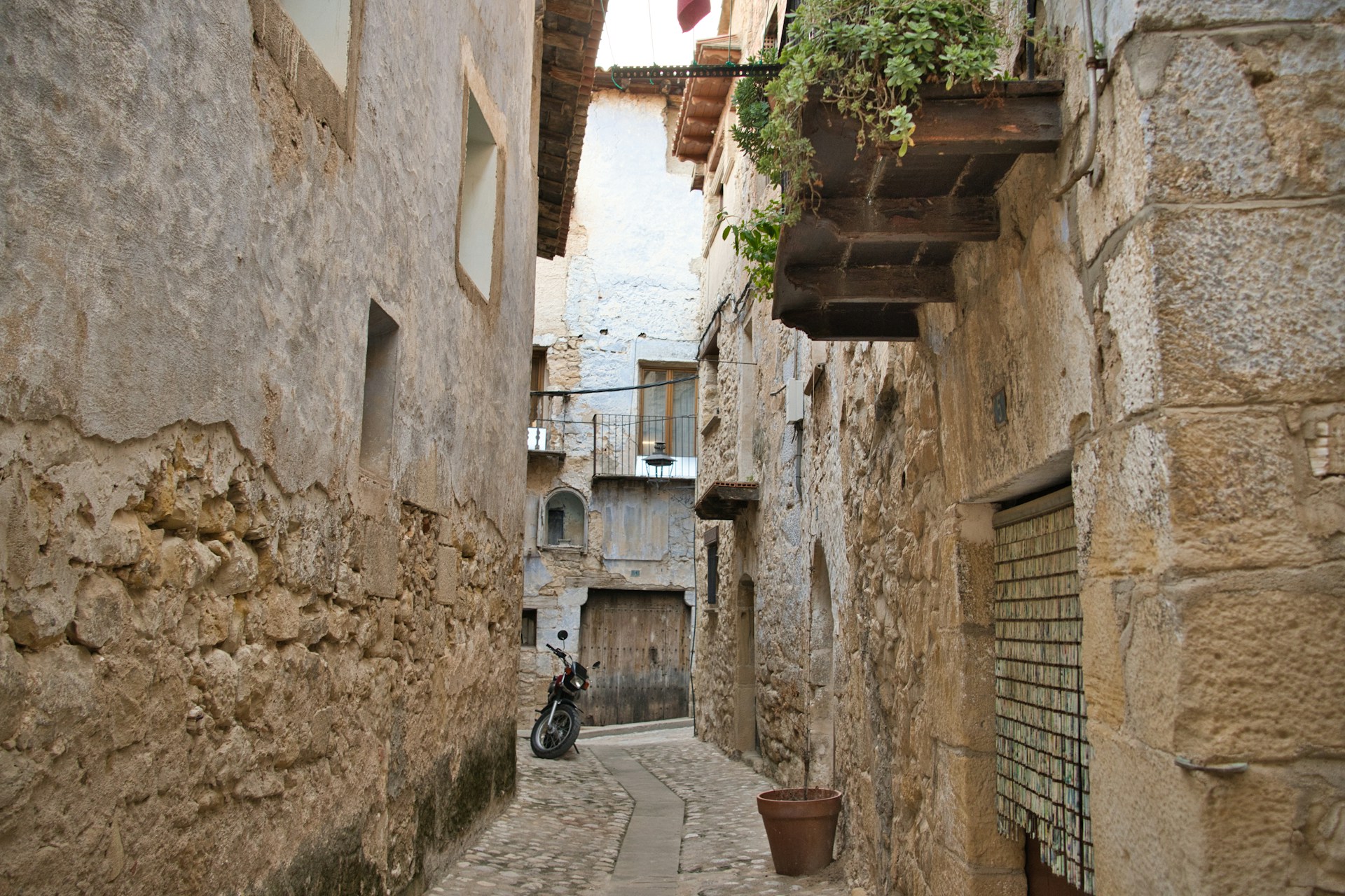 A narrow alley way with a potted plant on the ledge