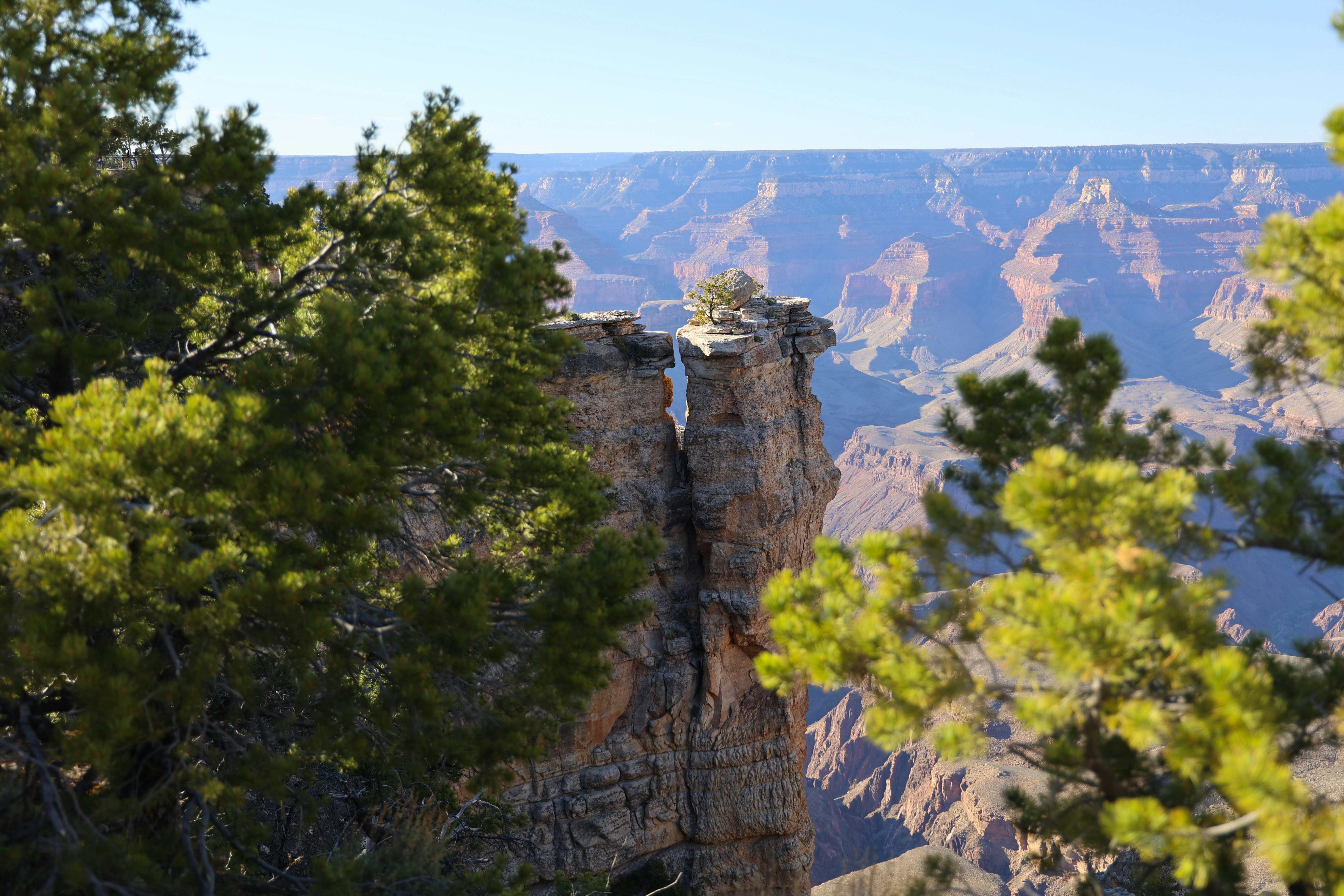 Cynthia's Vacations's image