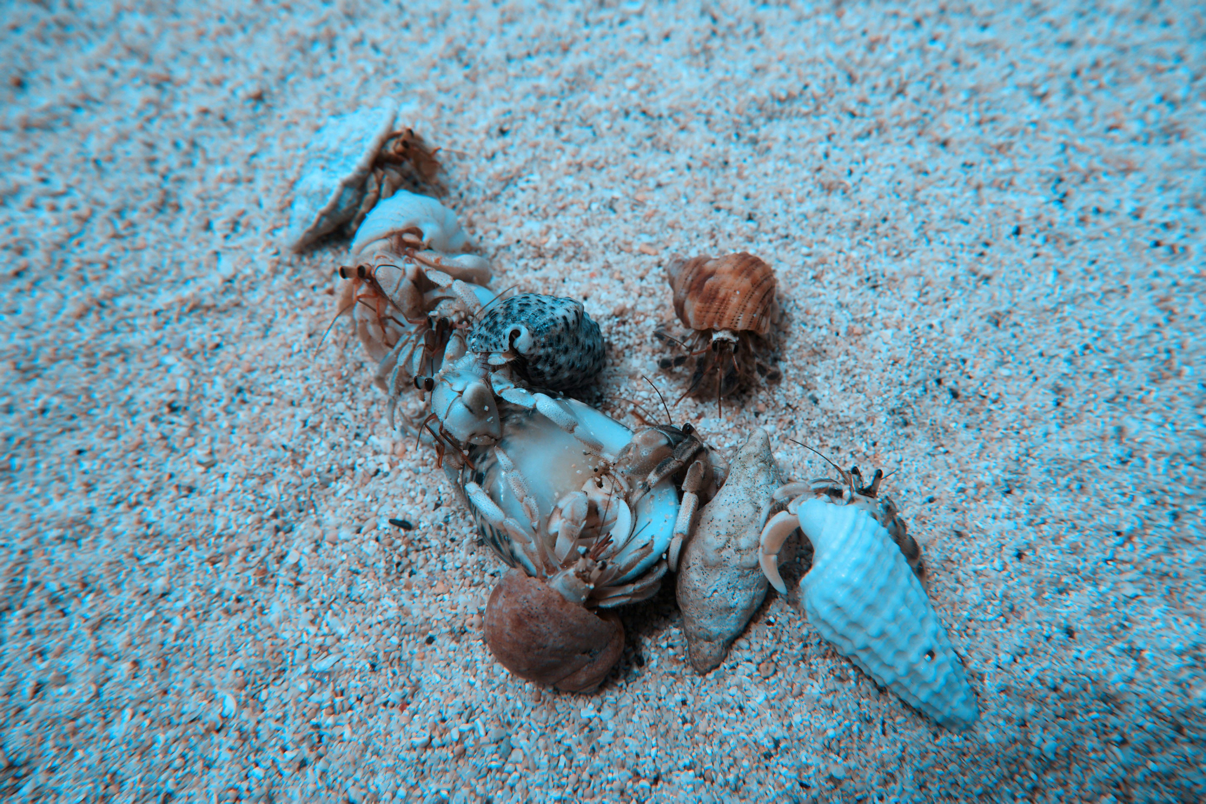 Photo by franzwa_2015