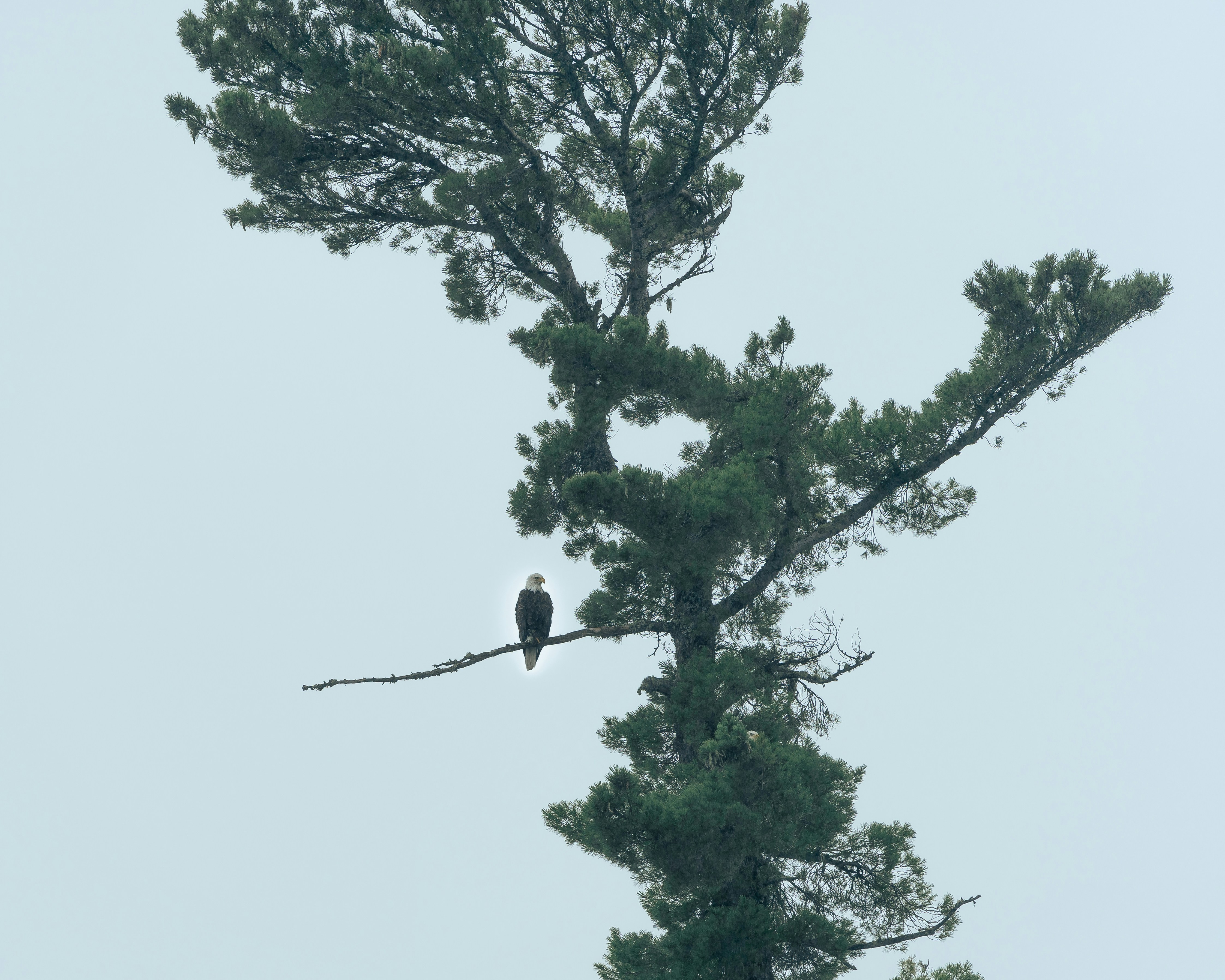 Photo by maxime_dore