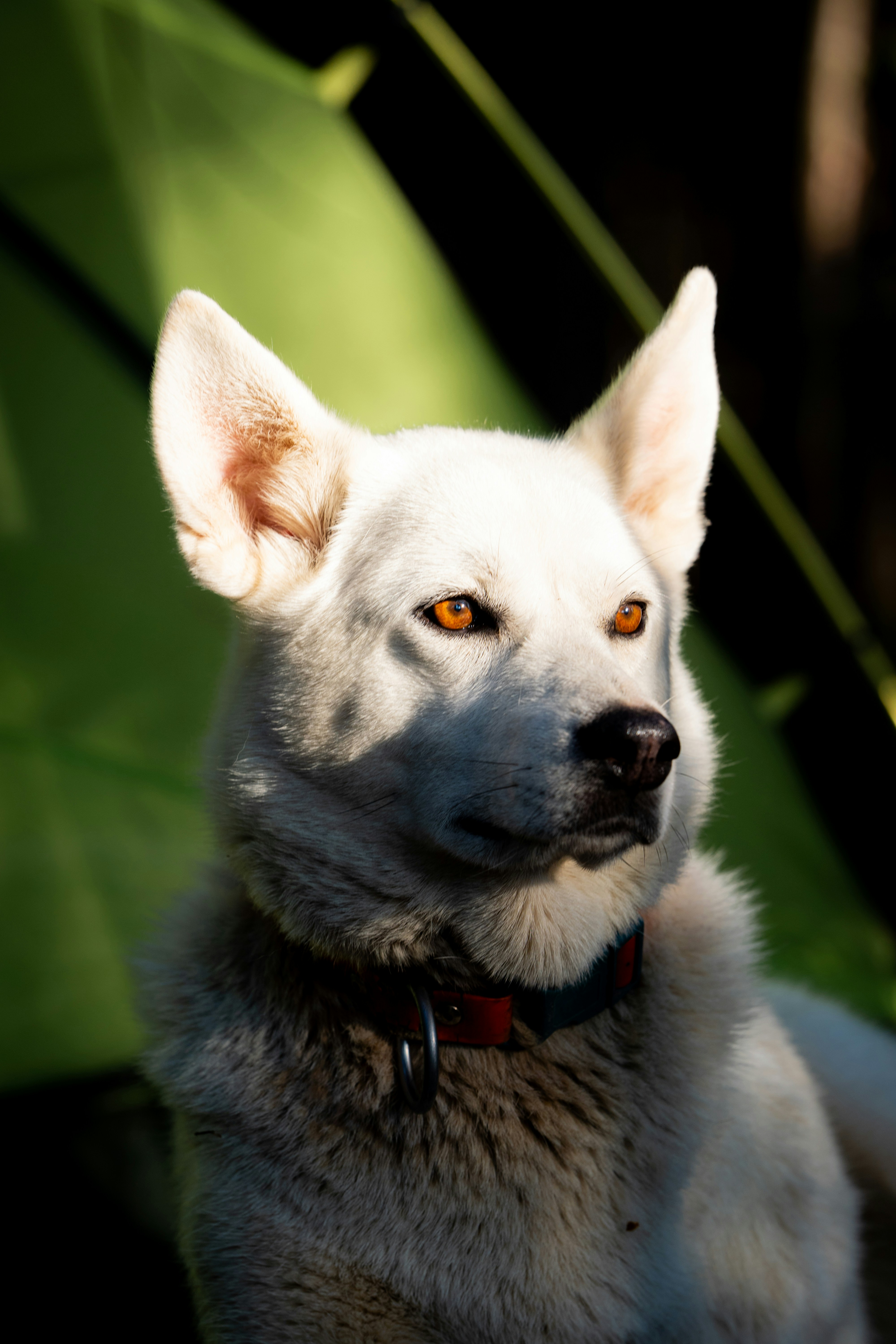 Photo by maxime_dore