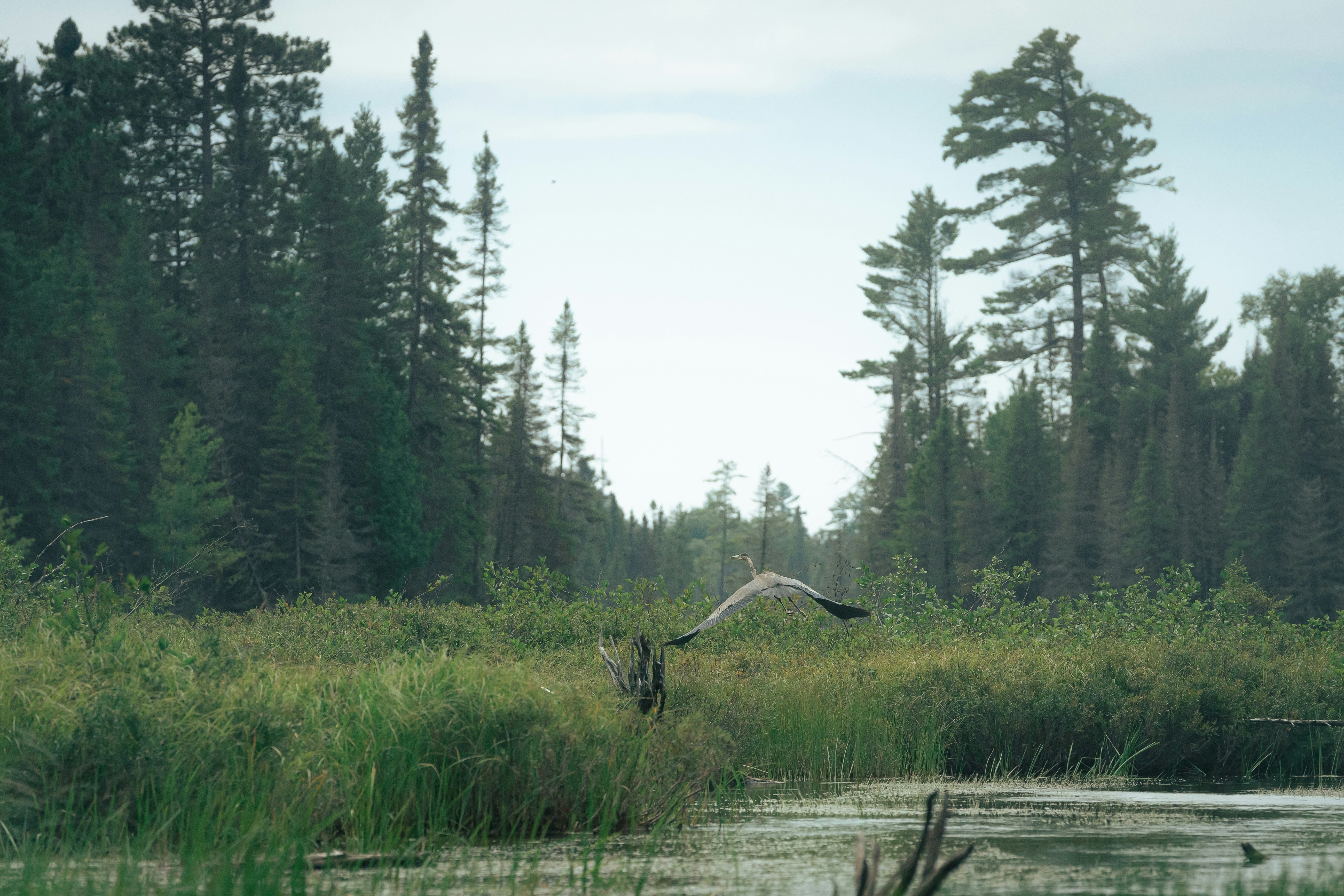 Ontario North