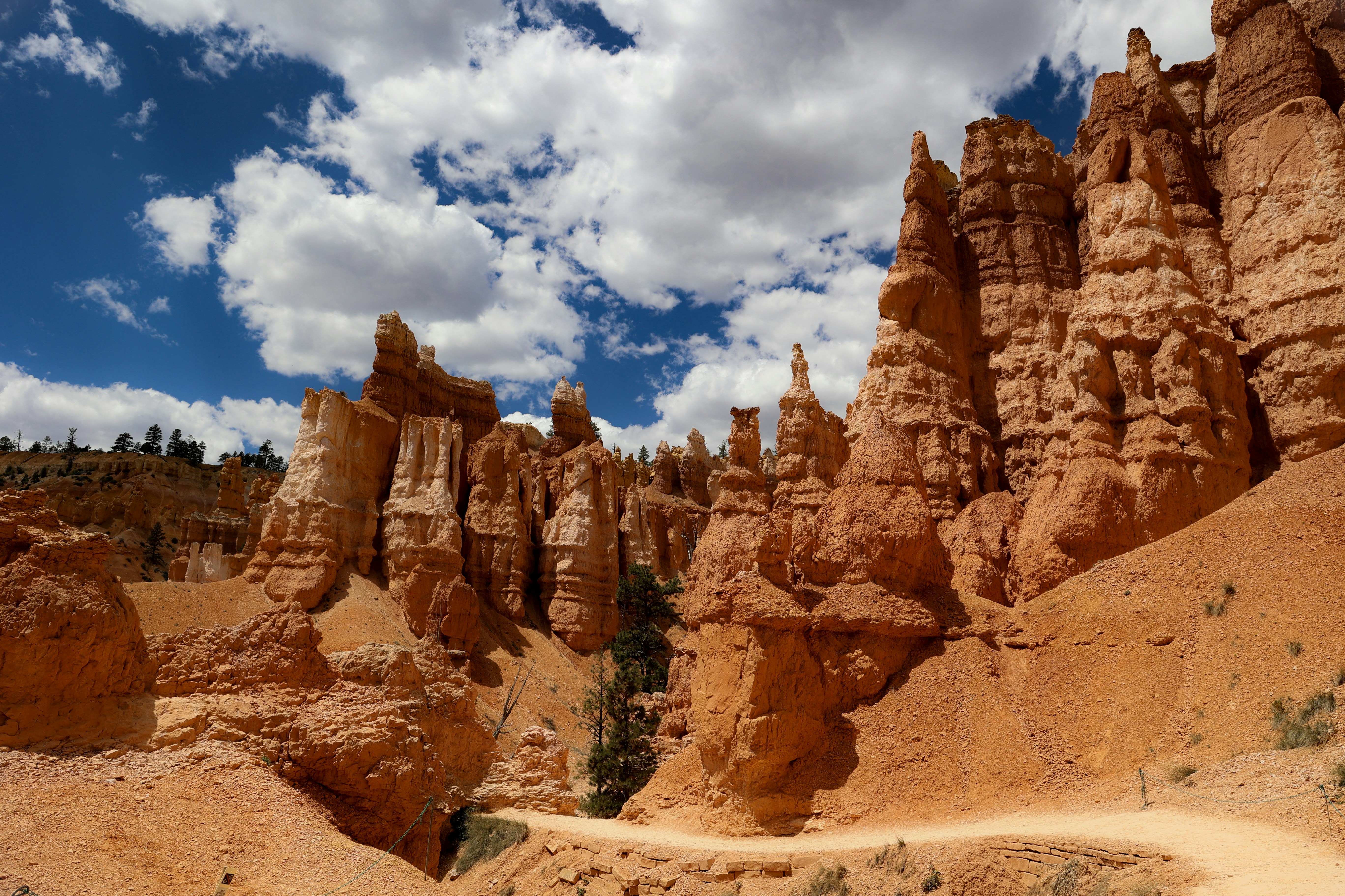 Photo by fliesentischfotograf