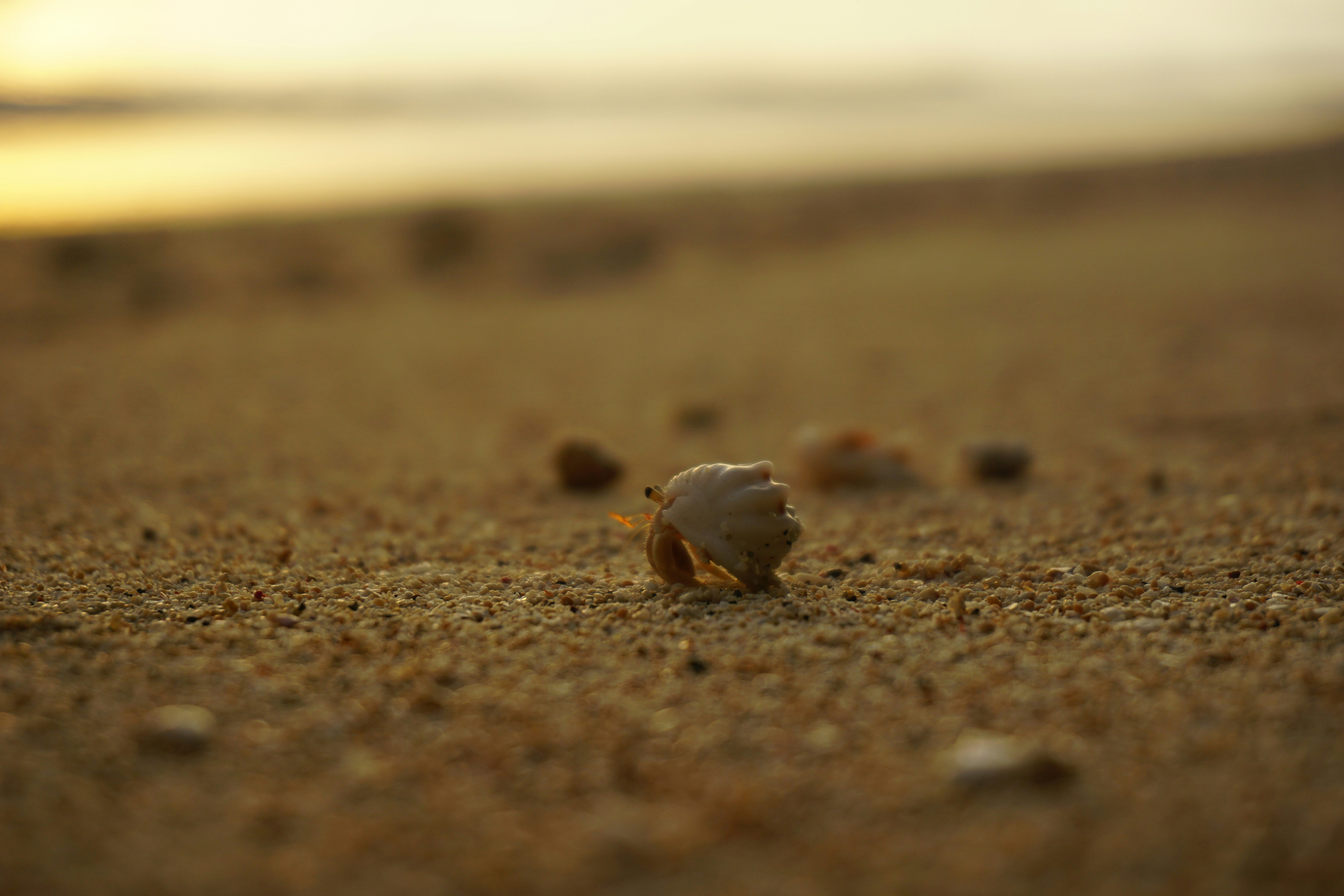 Photo by franzwa_2015