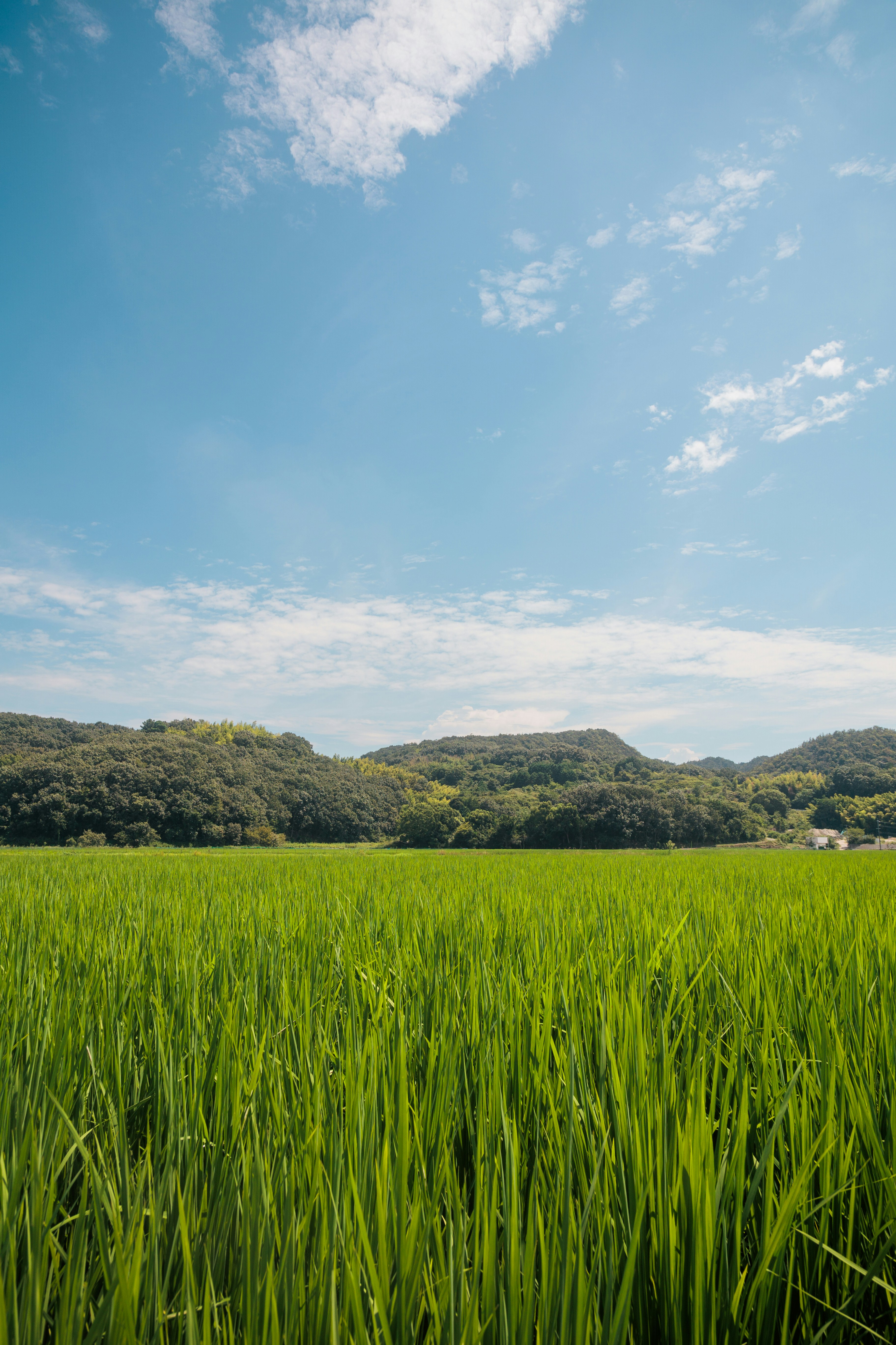 Photo by gakusuyama