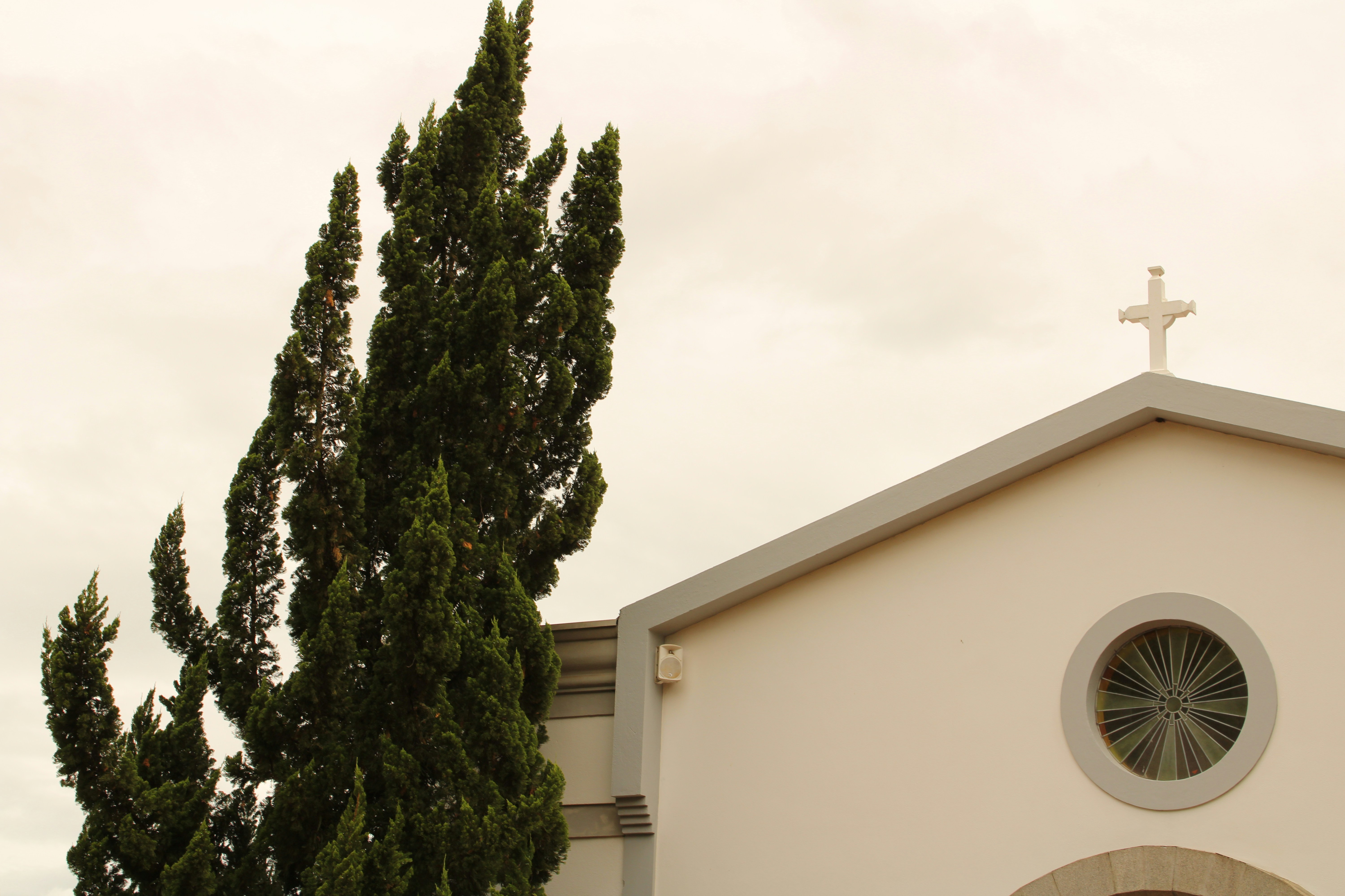 Photo by iamblondfox