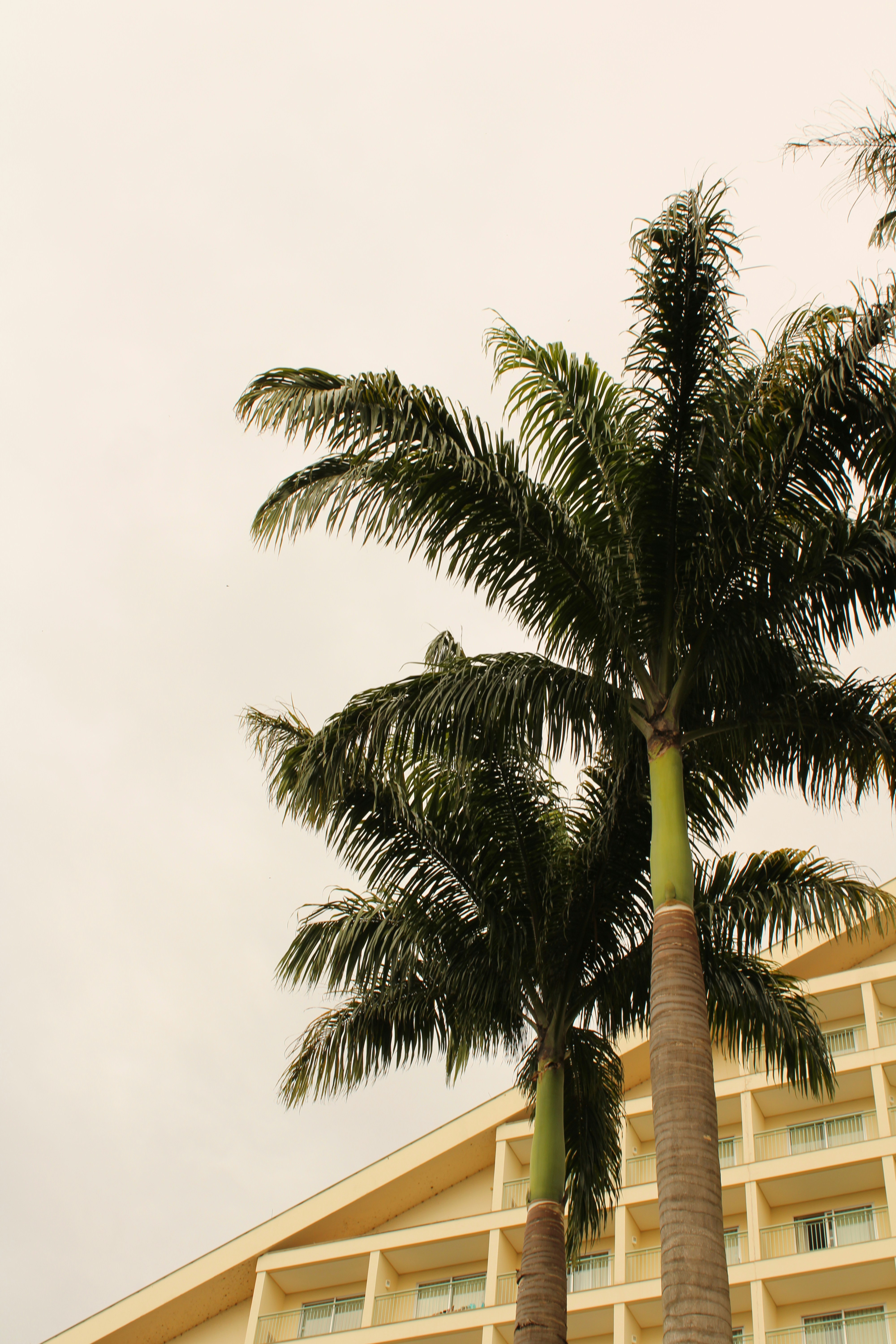 Photo by iamblondfox