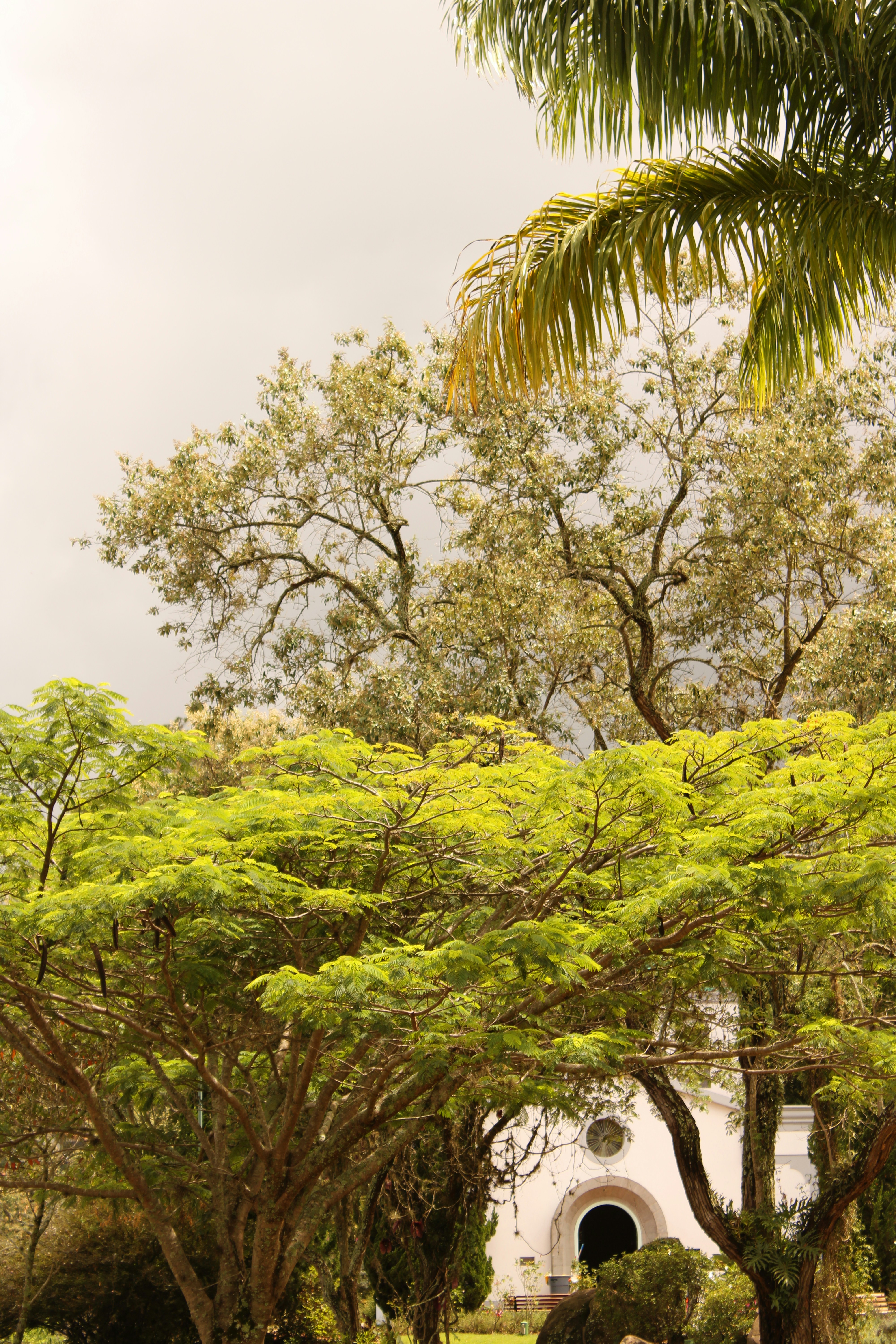 Photo by iamblondfox