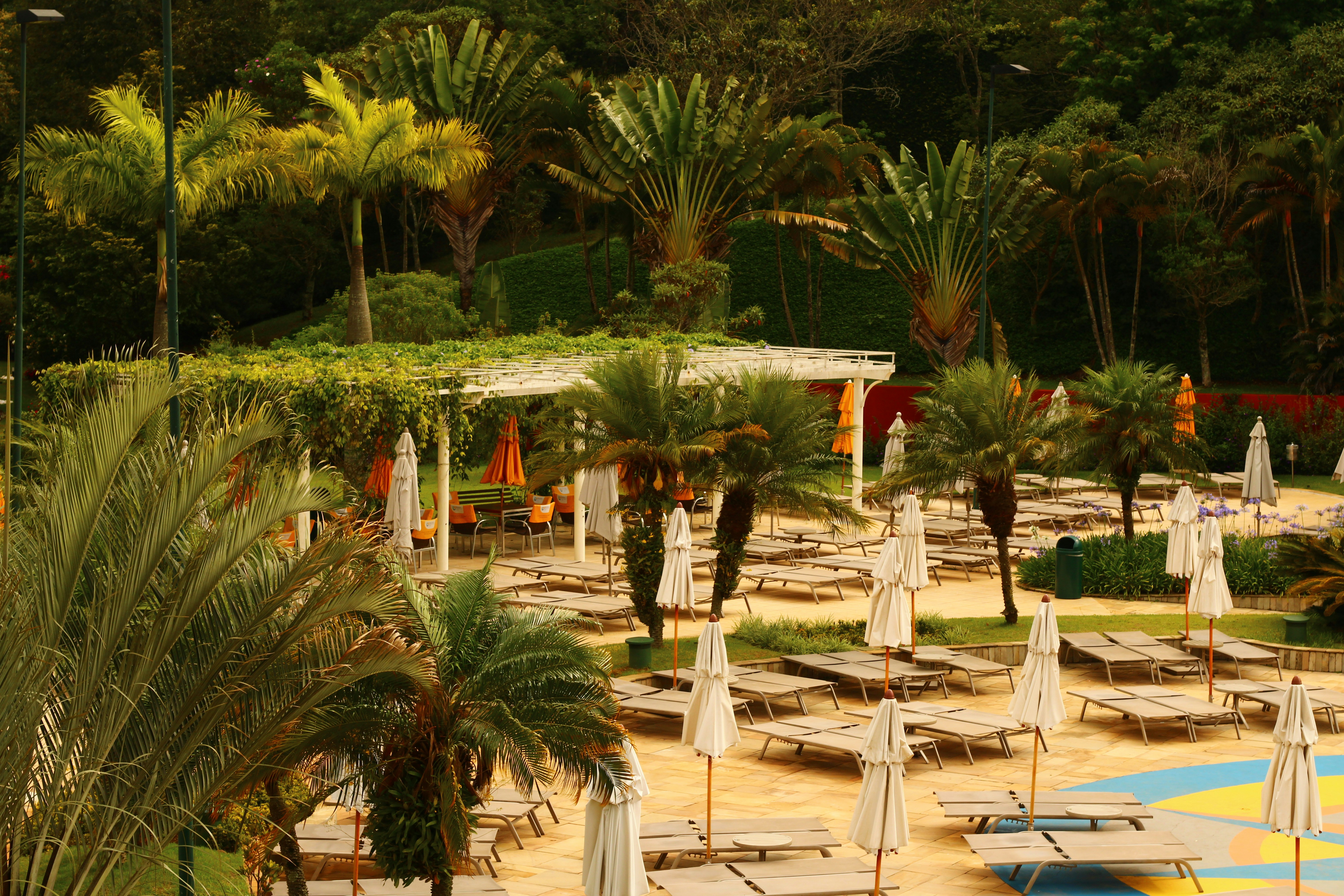 A bunch of lounge chairs and umbrellas in a park