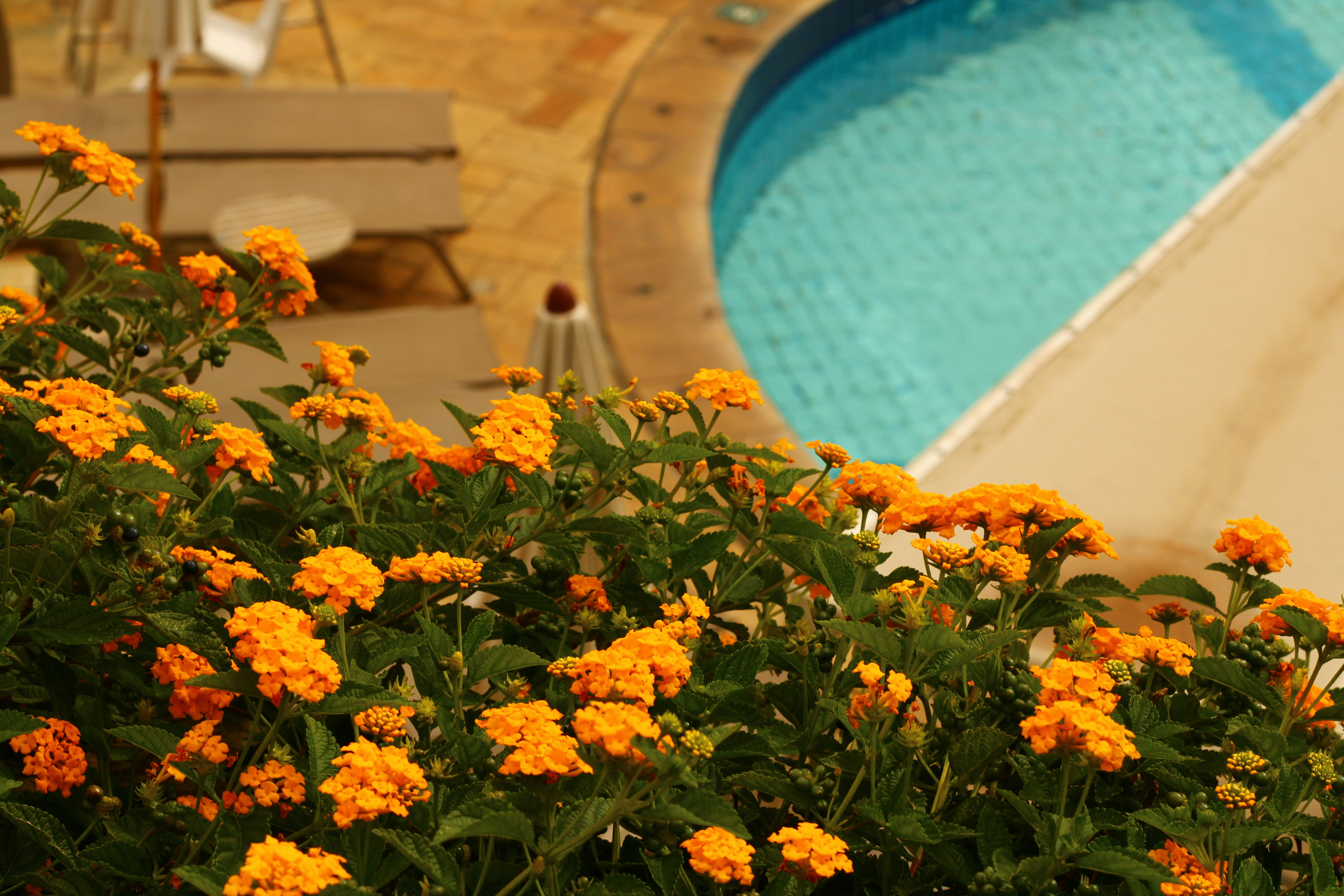 Photo by iamblondfox