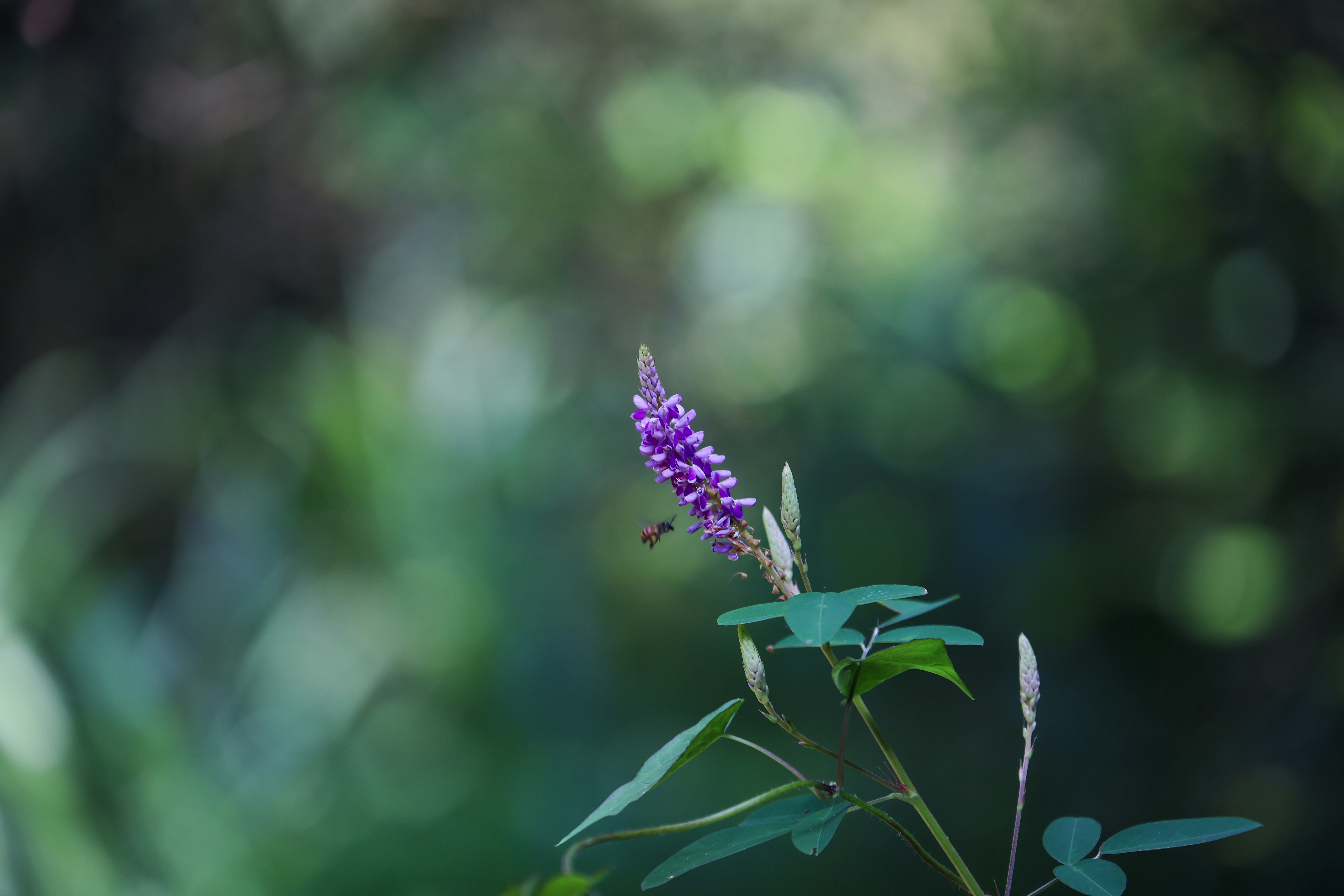 Photo by dickenslin76