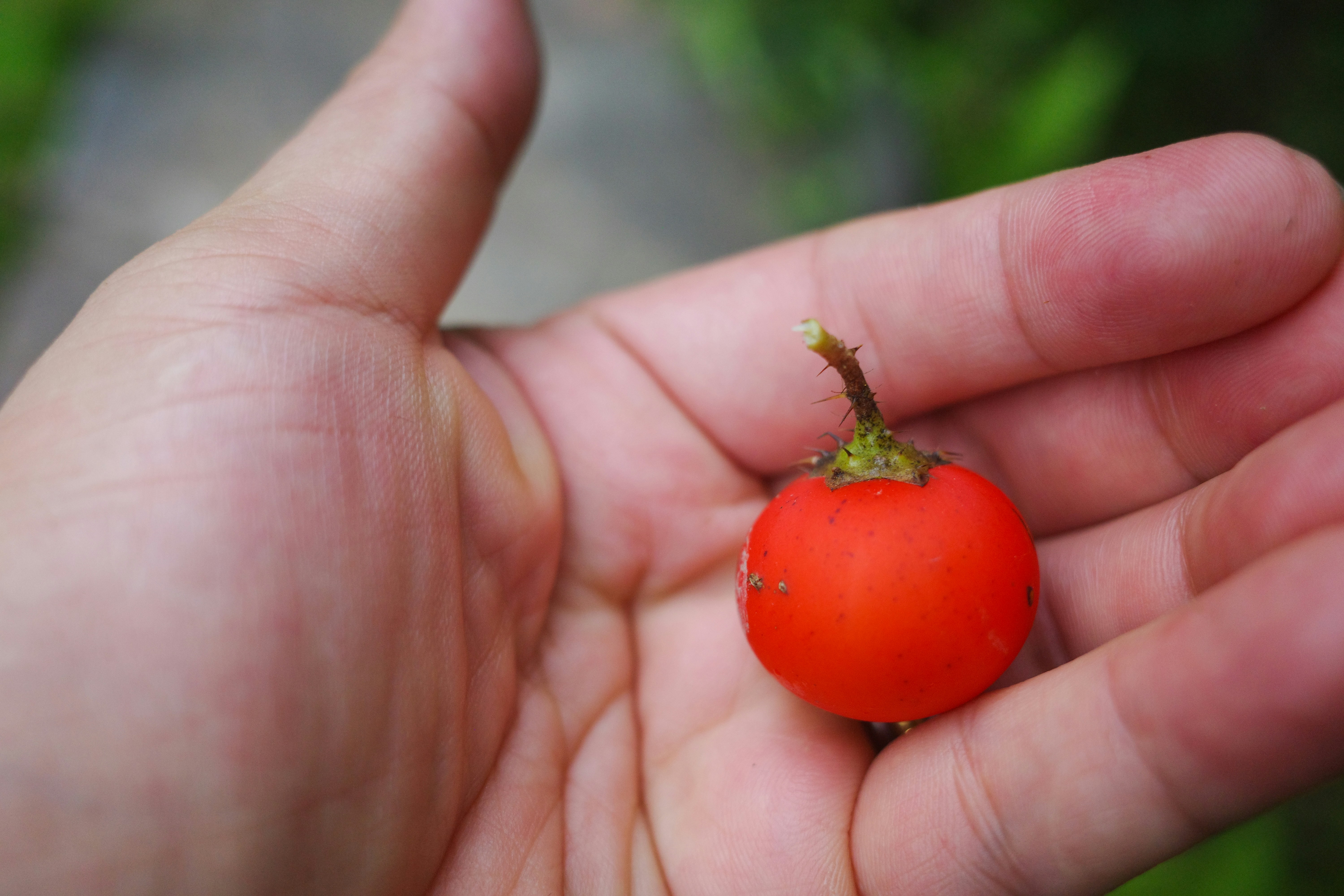 Photo by dickenslin76