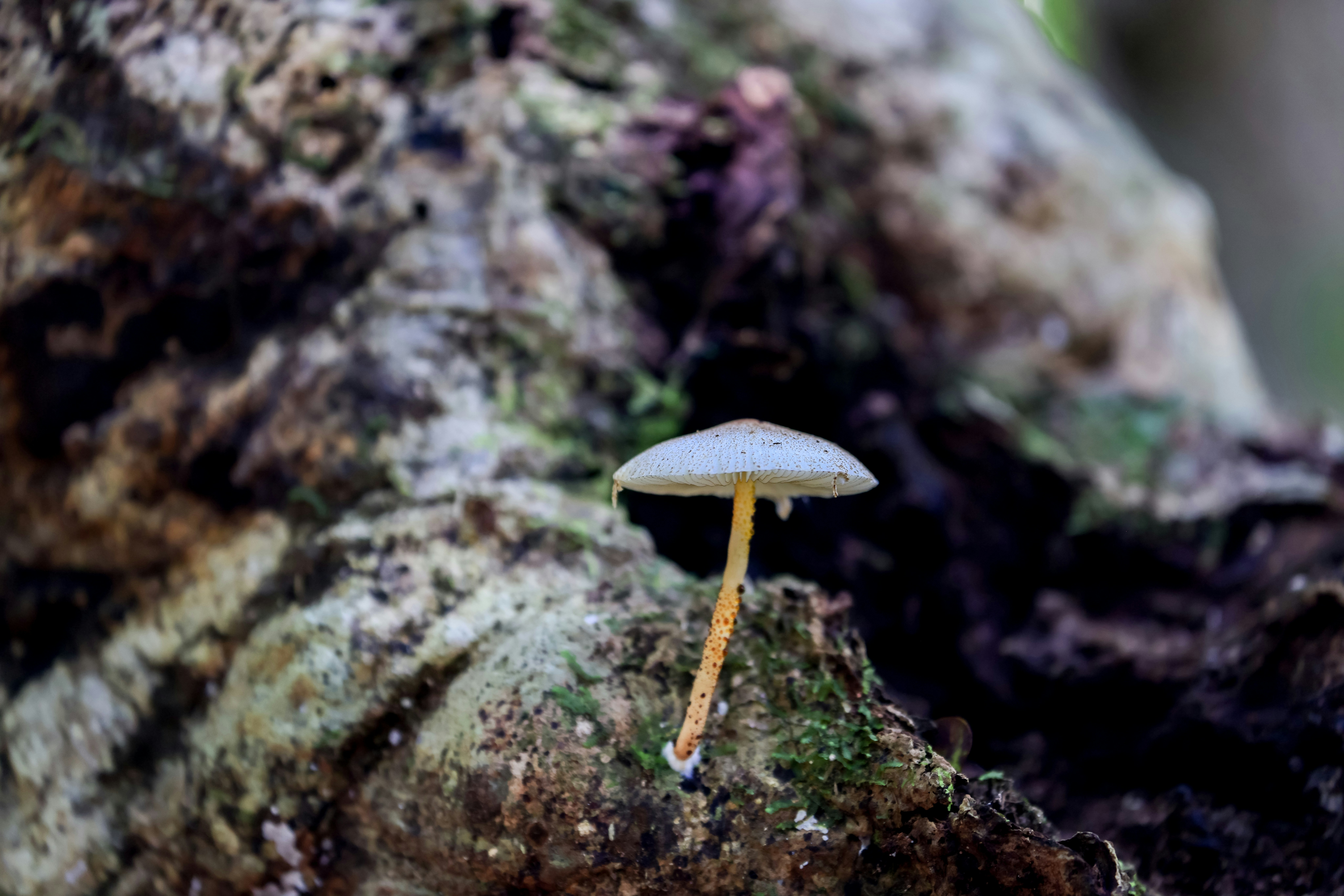 Photo by dickenslin76