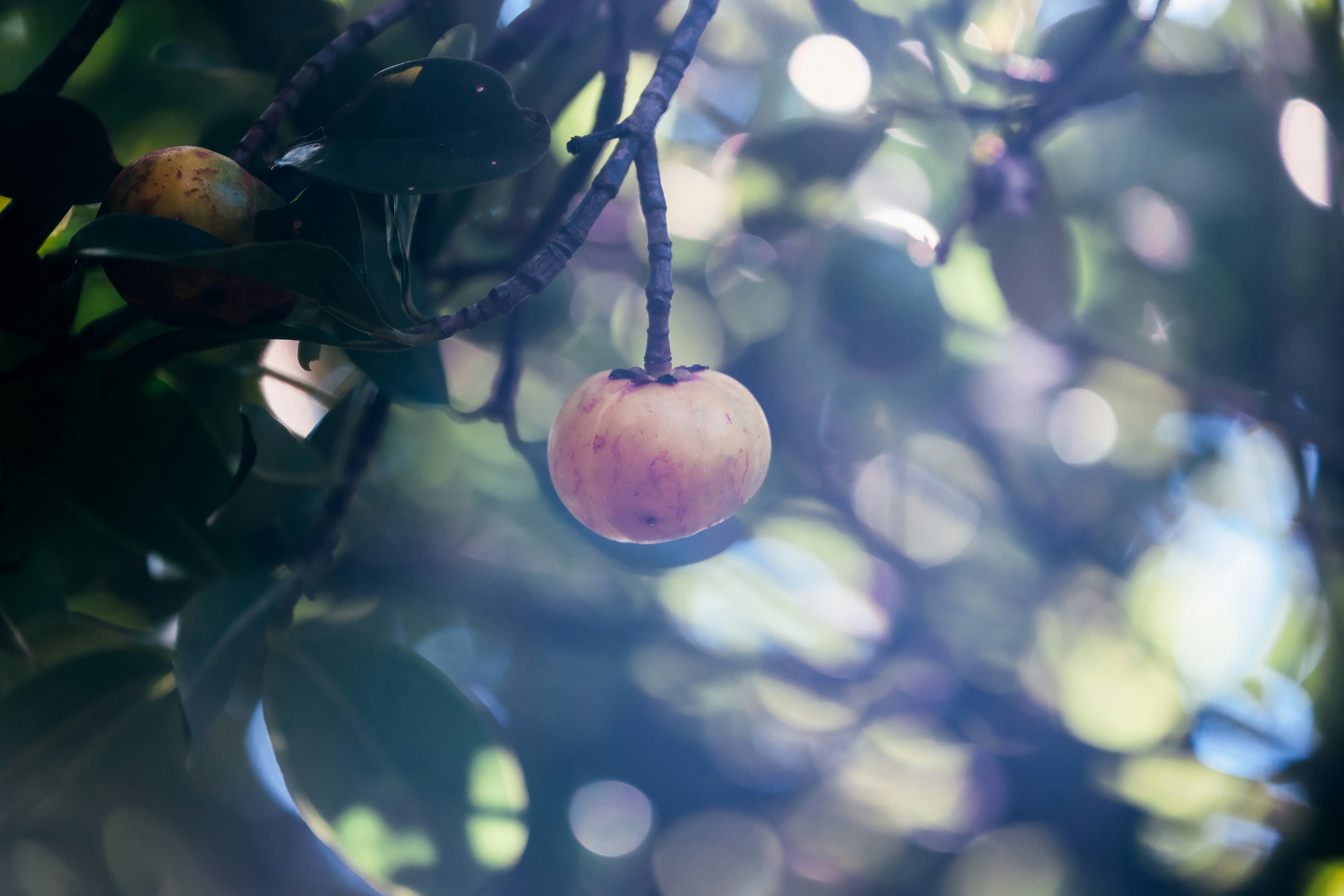 Photo by dickenslin76