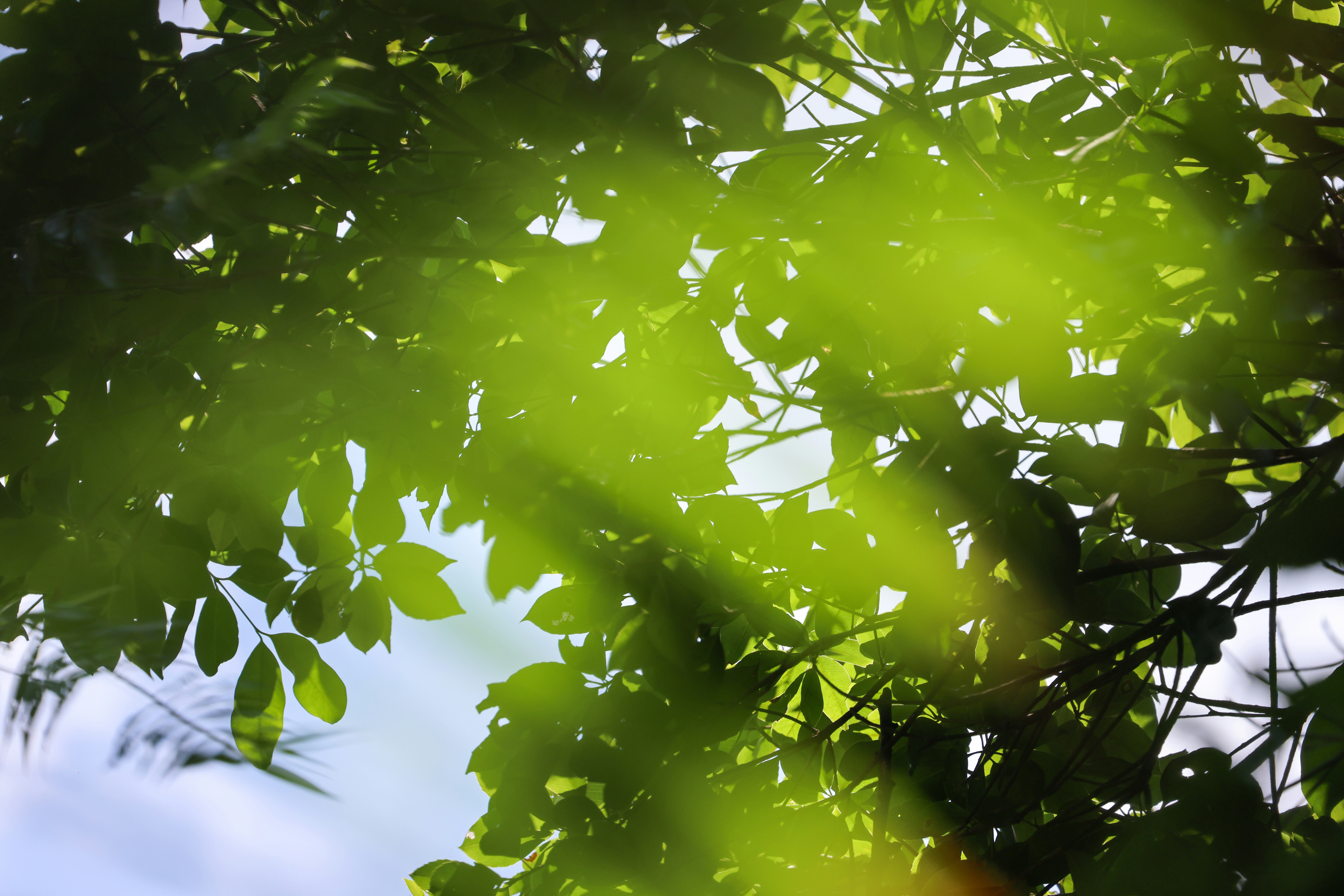 Photo by dickenslin76