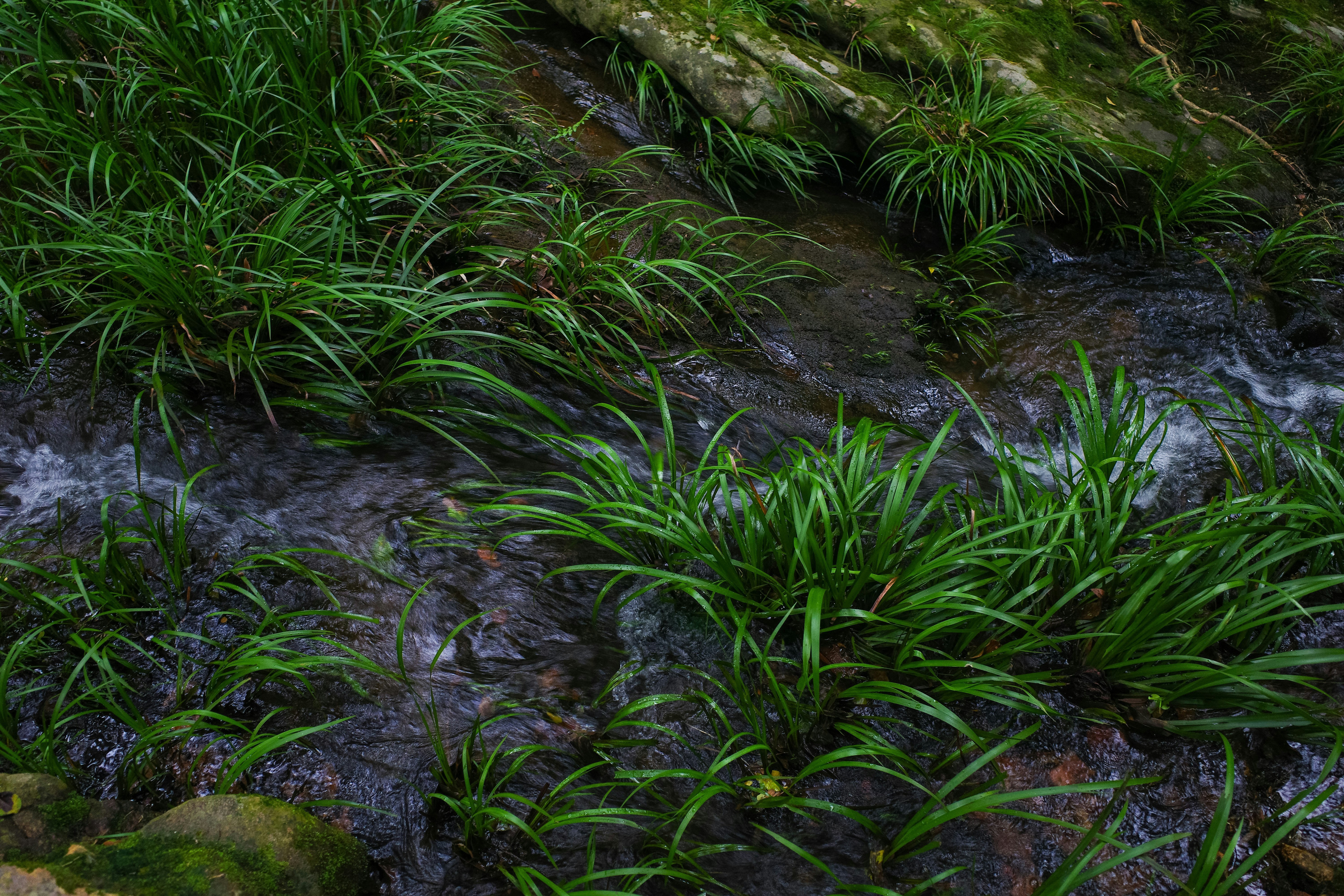 Photo by dickenslin76