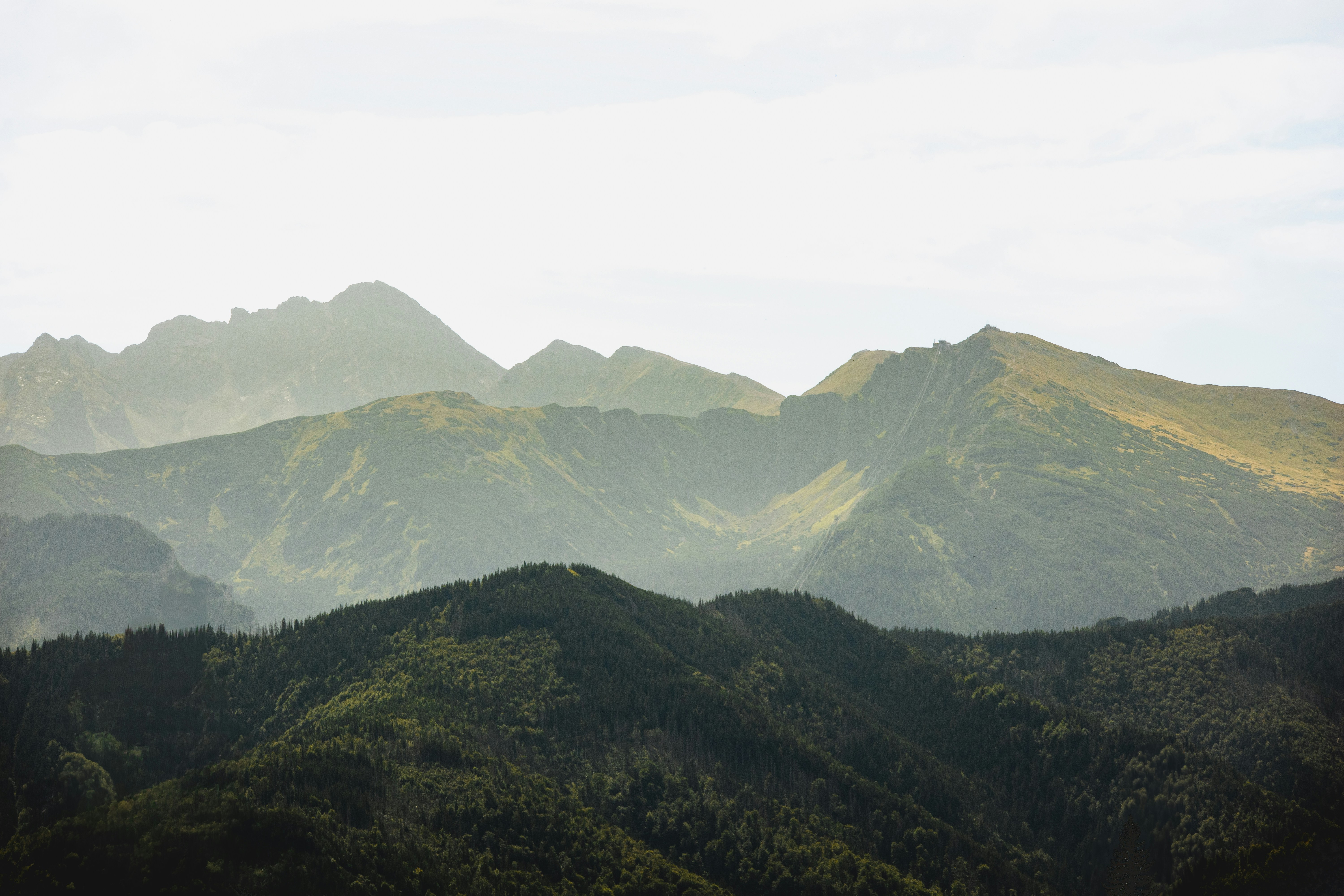 Photo by marko_lengyel