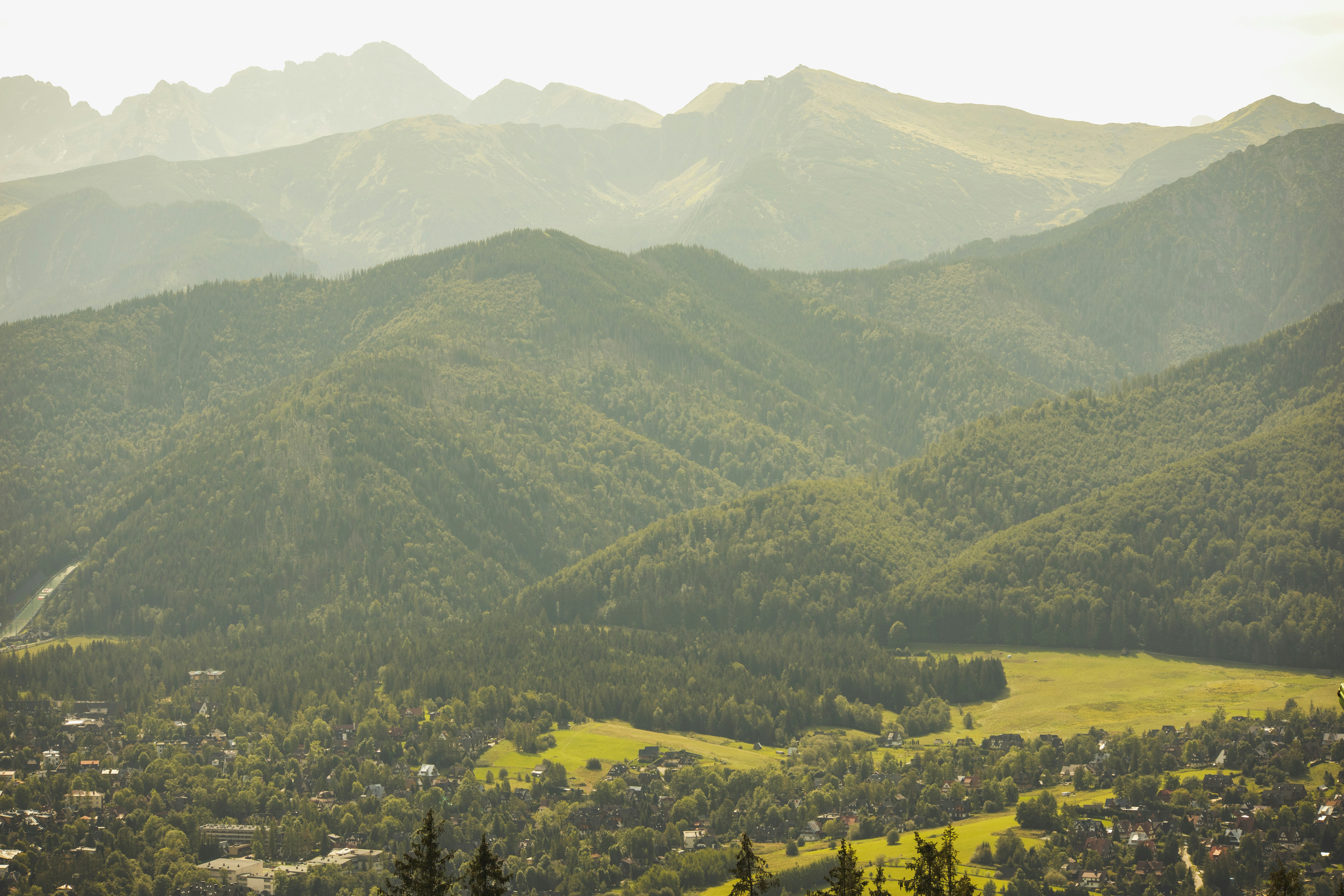 Photo by marko_lengyel