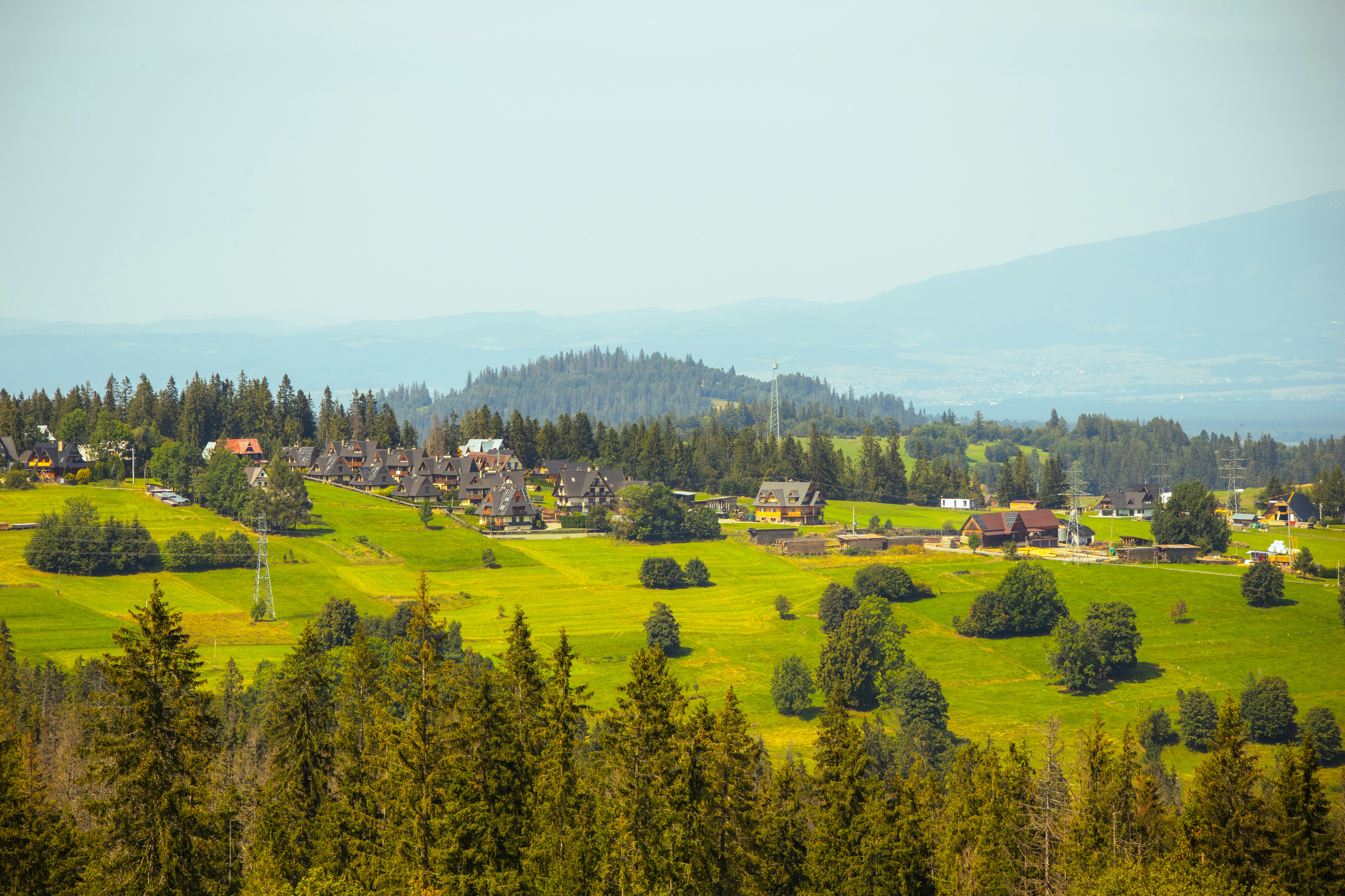 Photo by marko_lengyel