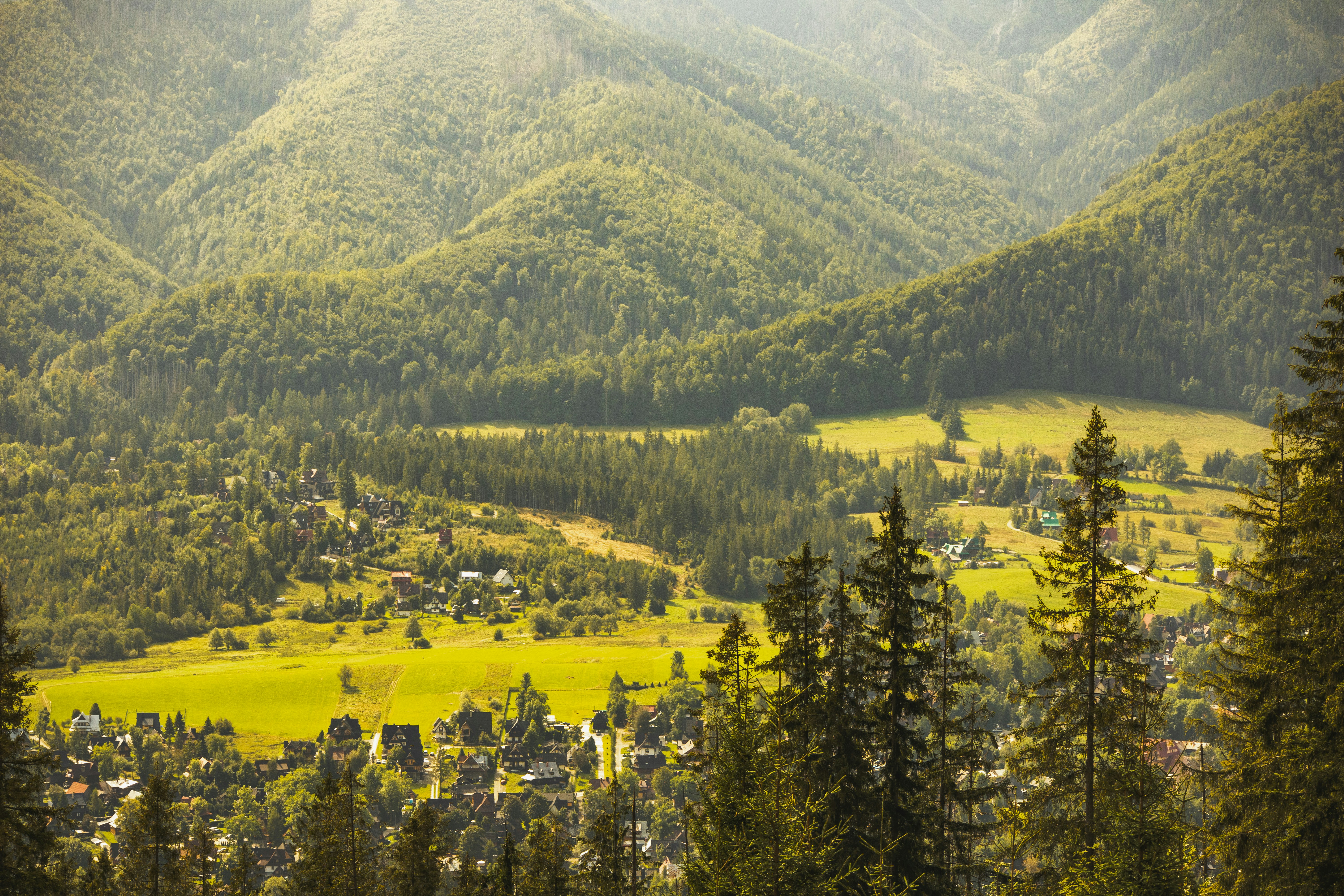 Photo by marko_lengyel