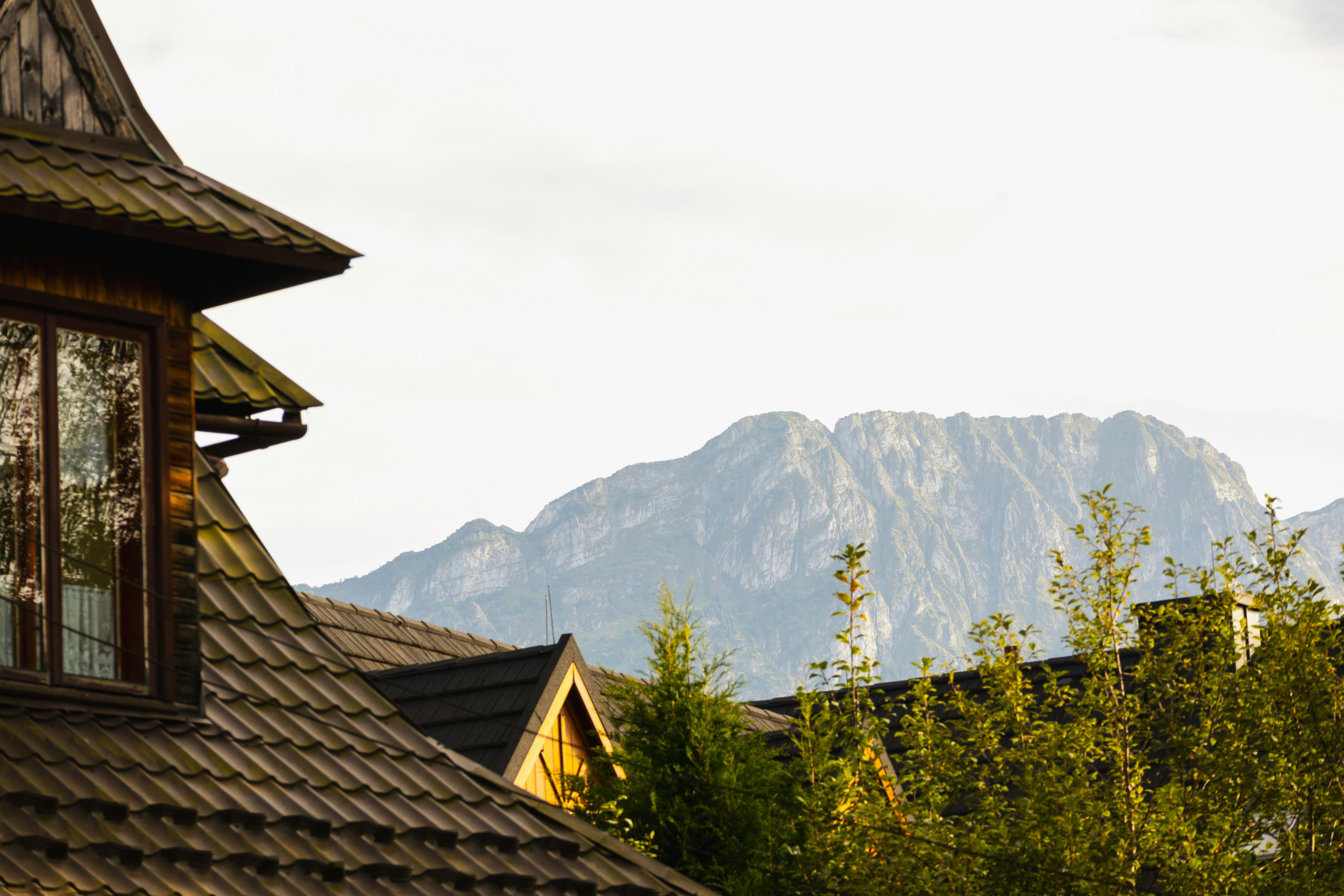 Photo by marko_lengyel