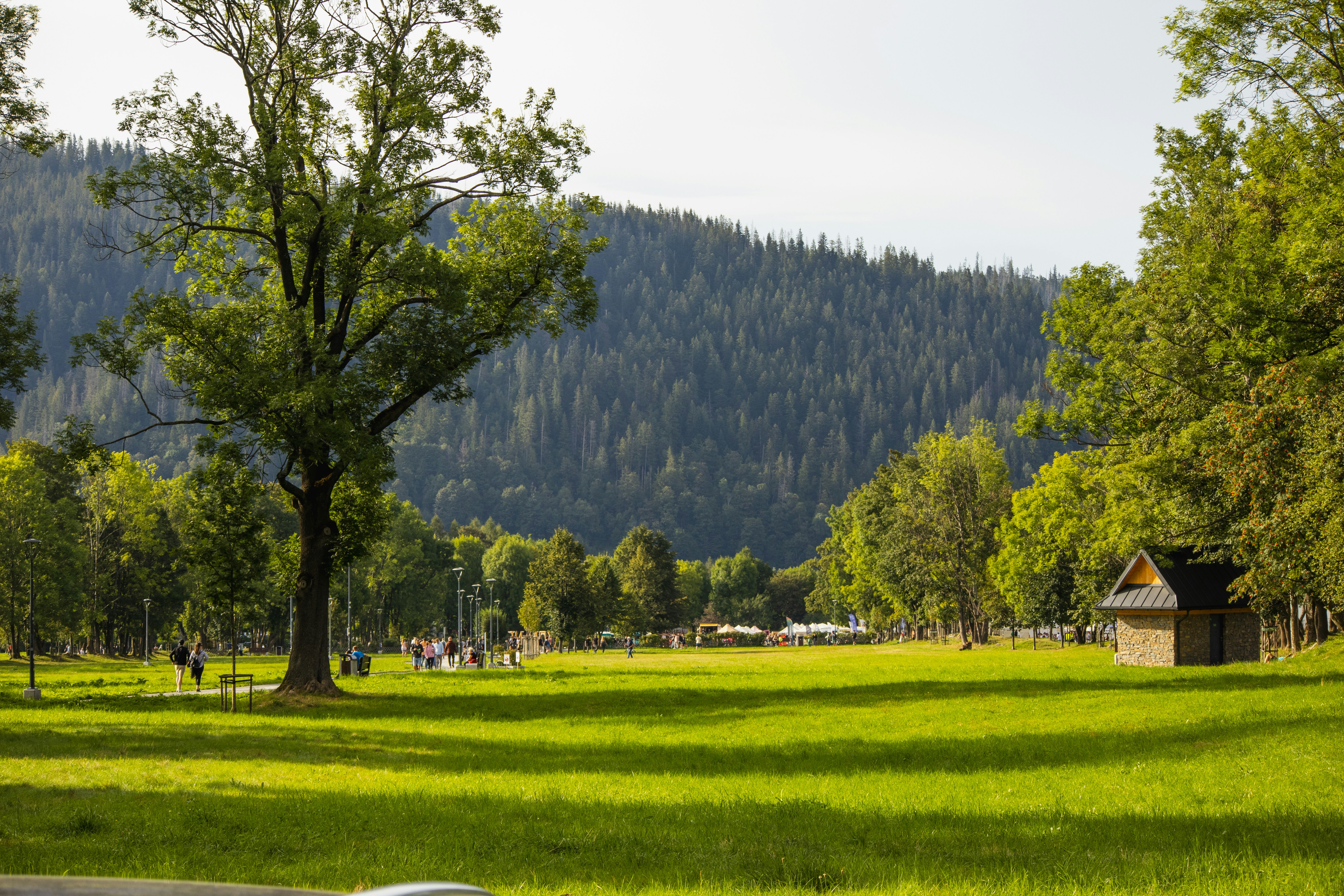 Photo by marko_lengyel