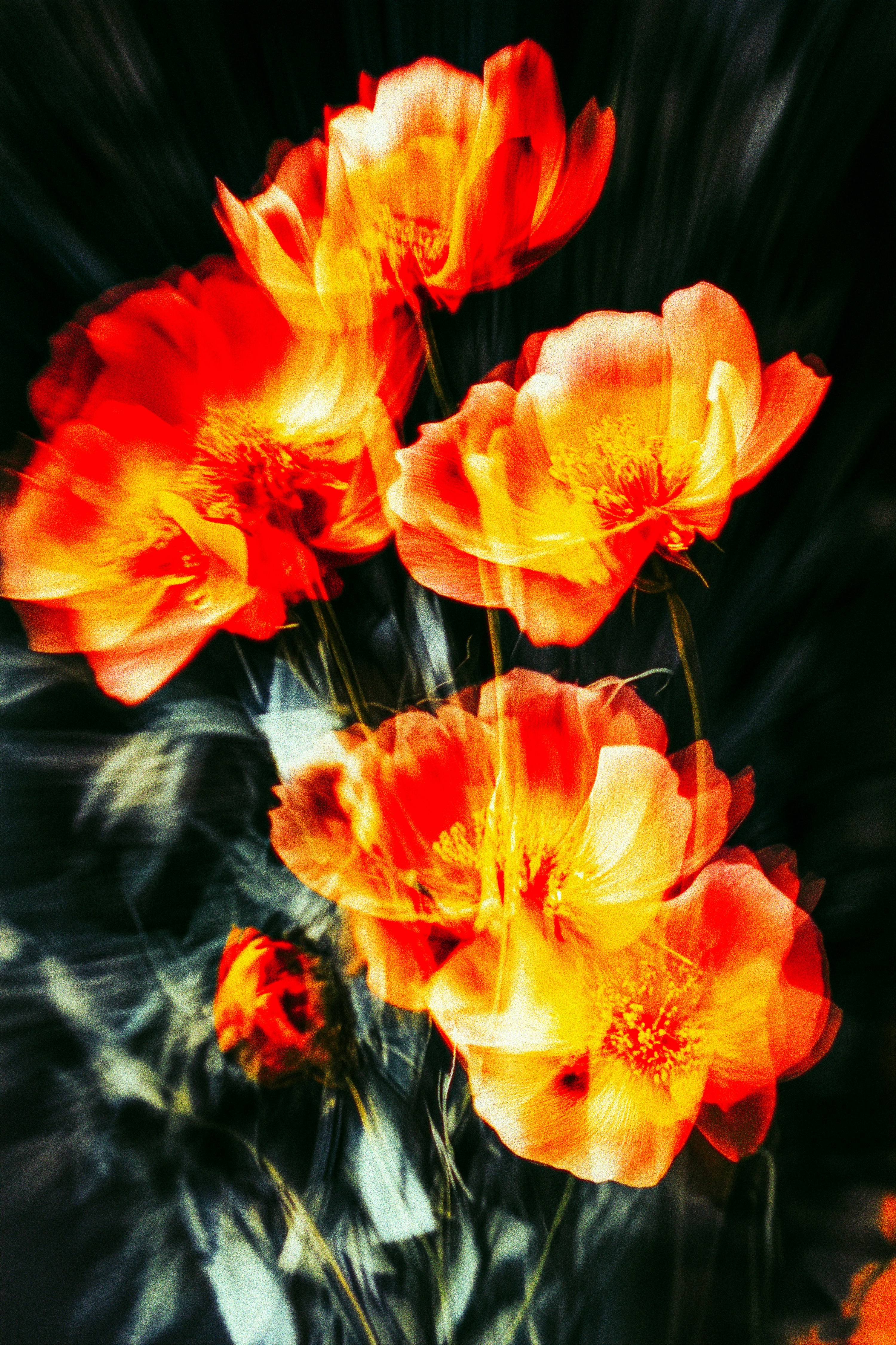 Photo by litvinov