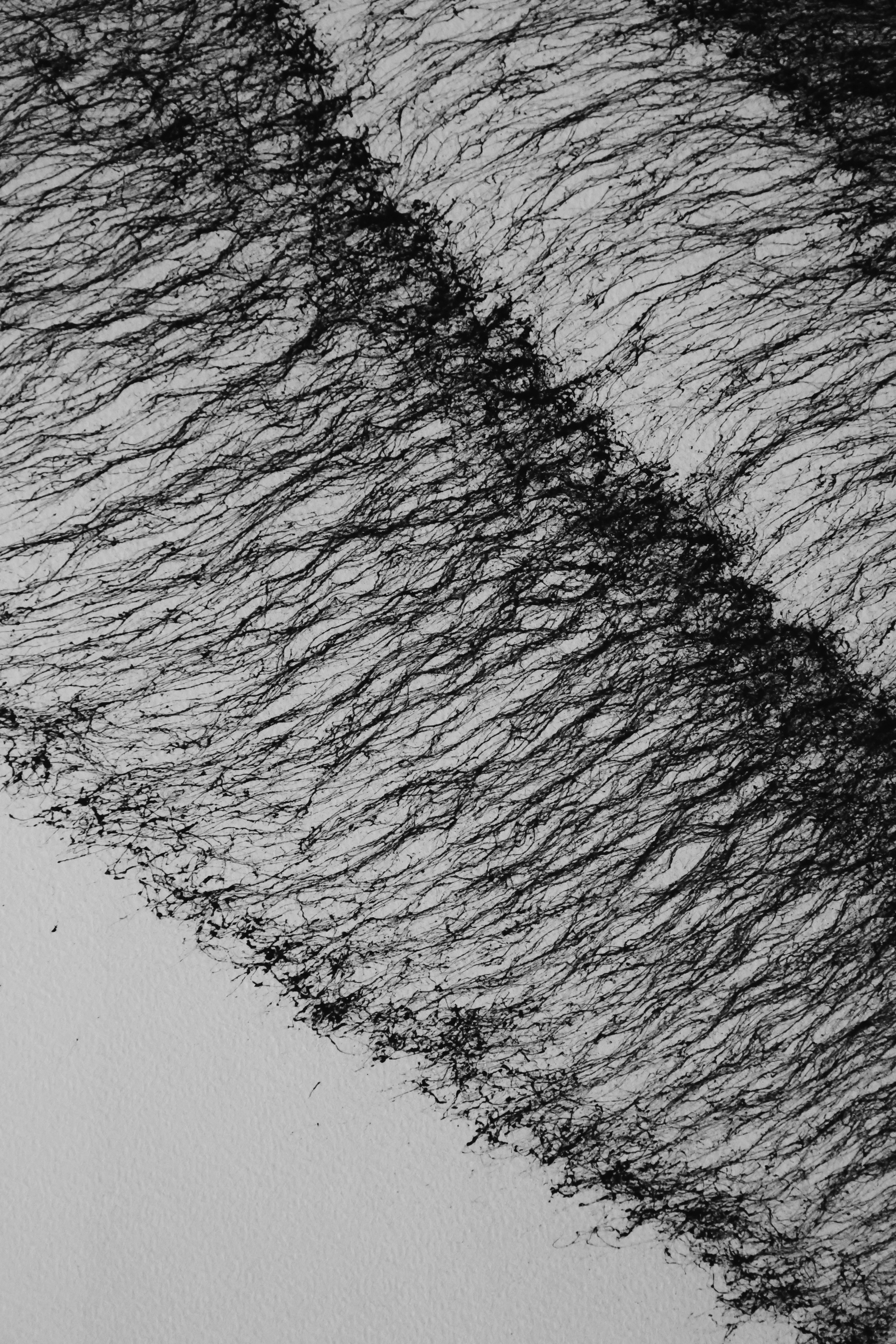 Photo by jonathansancheziam