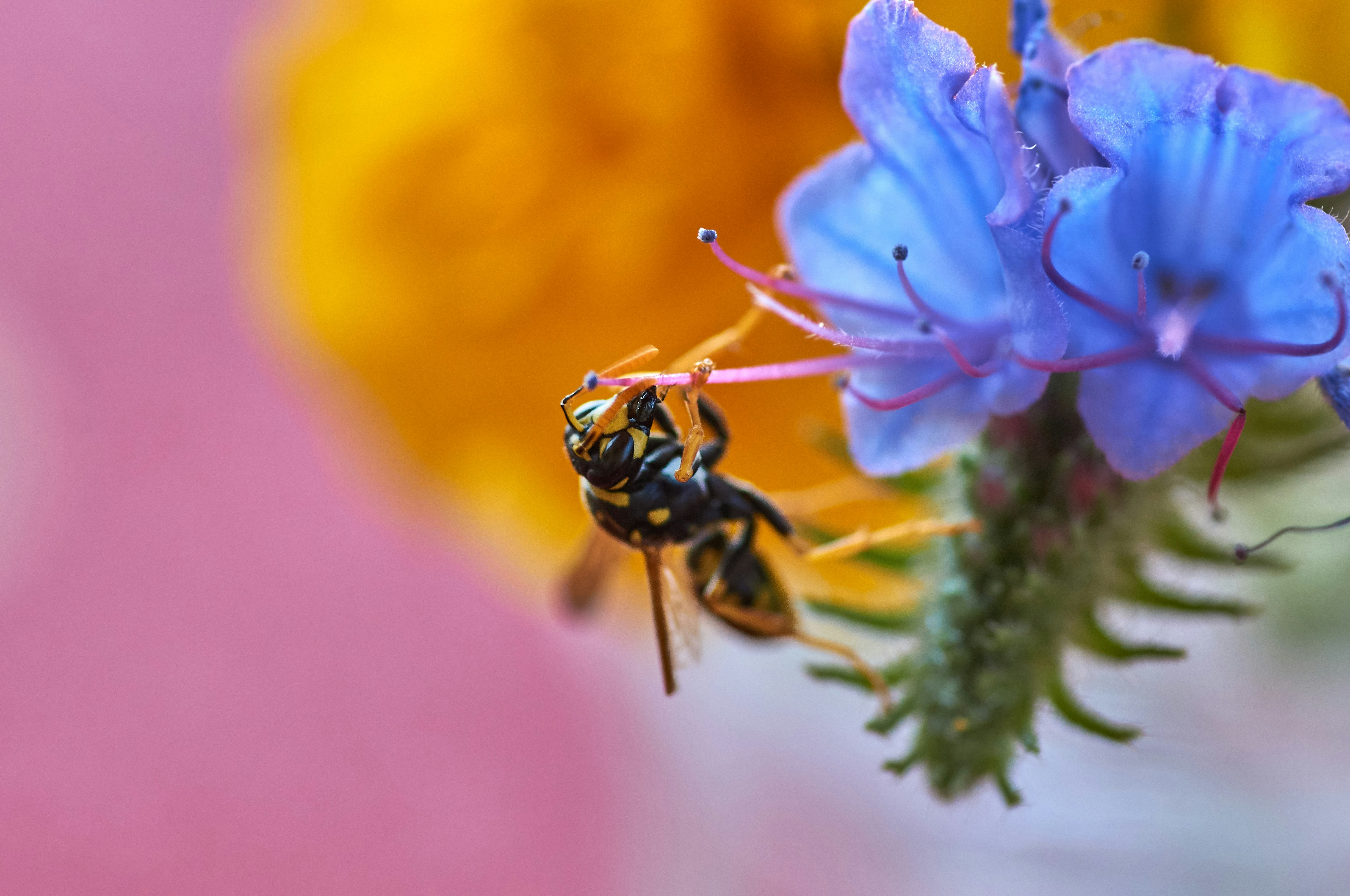 Photo by wolfgang_hasselmann