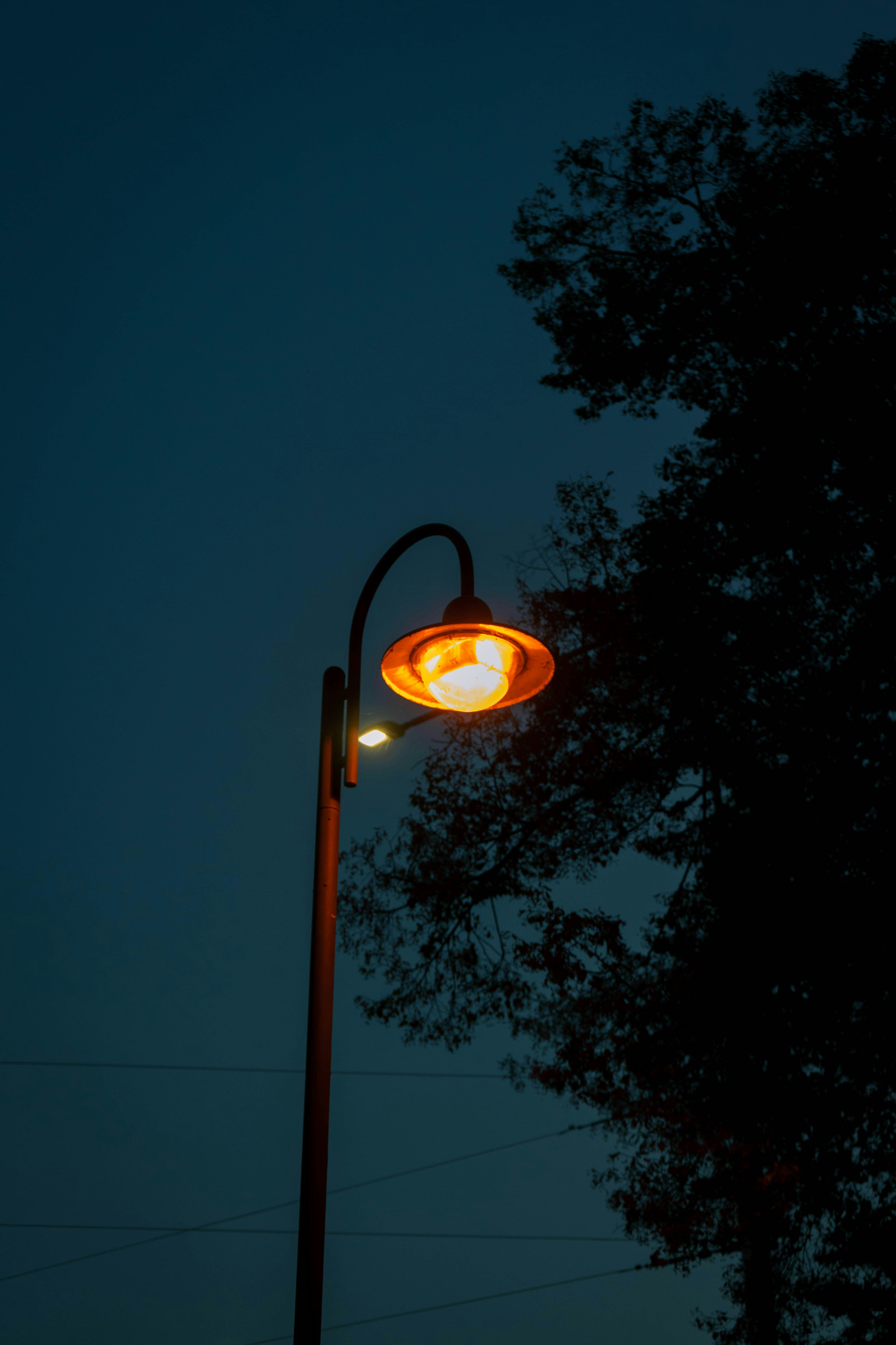 Photo by userwithcamera