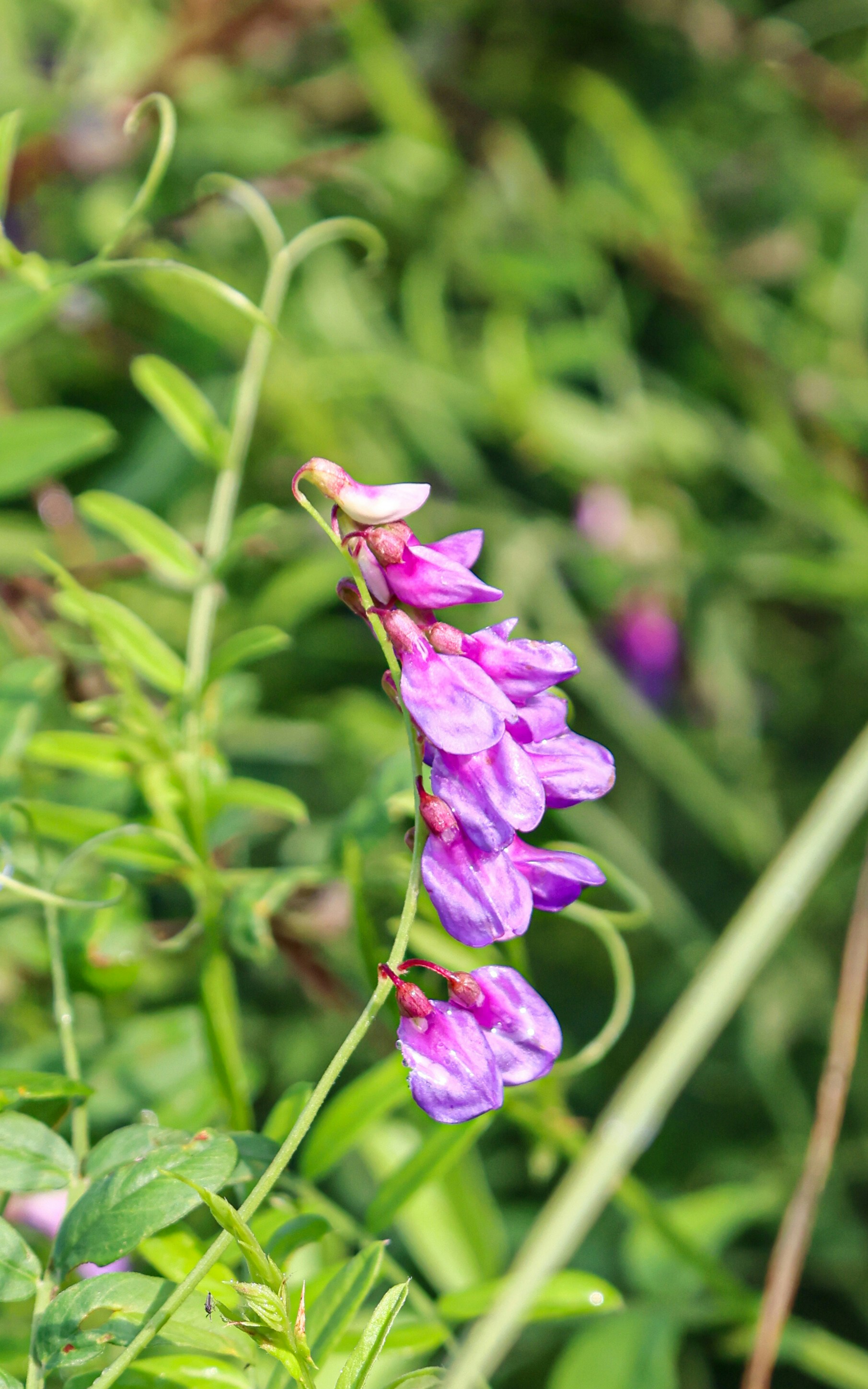 Photo by dickenslin76