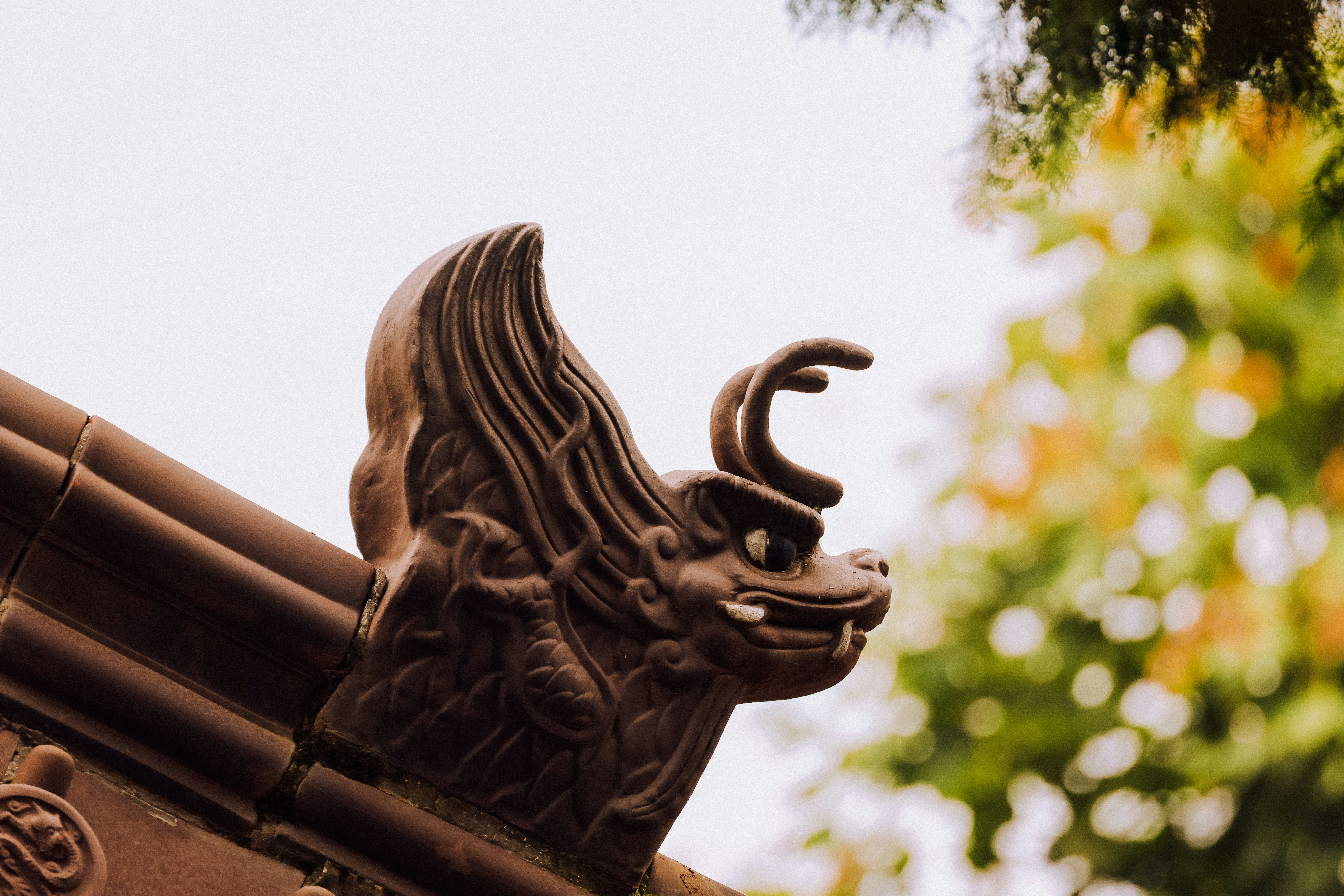 Photo by dickenslin76