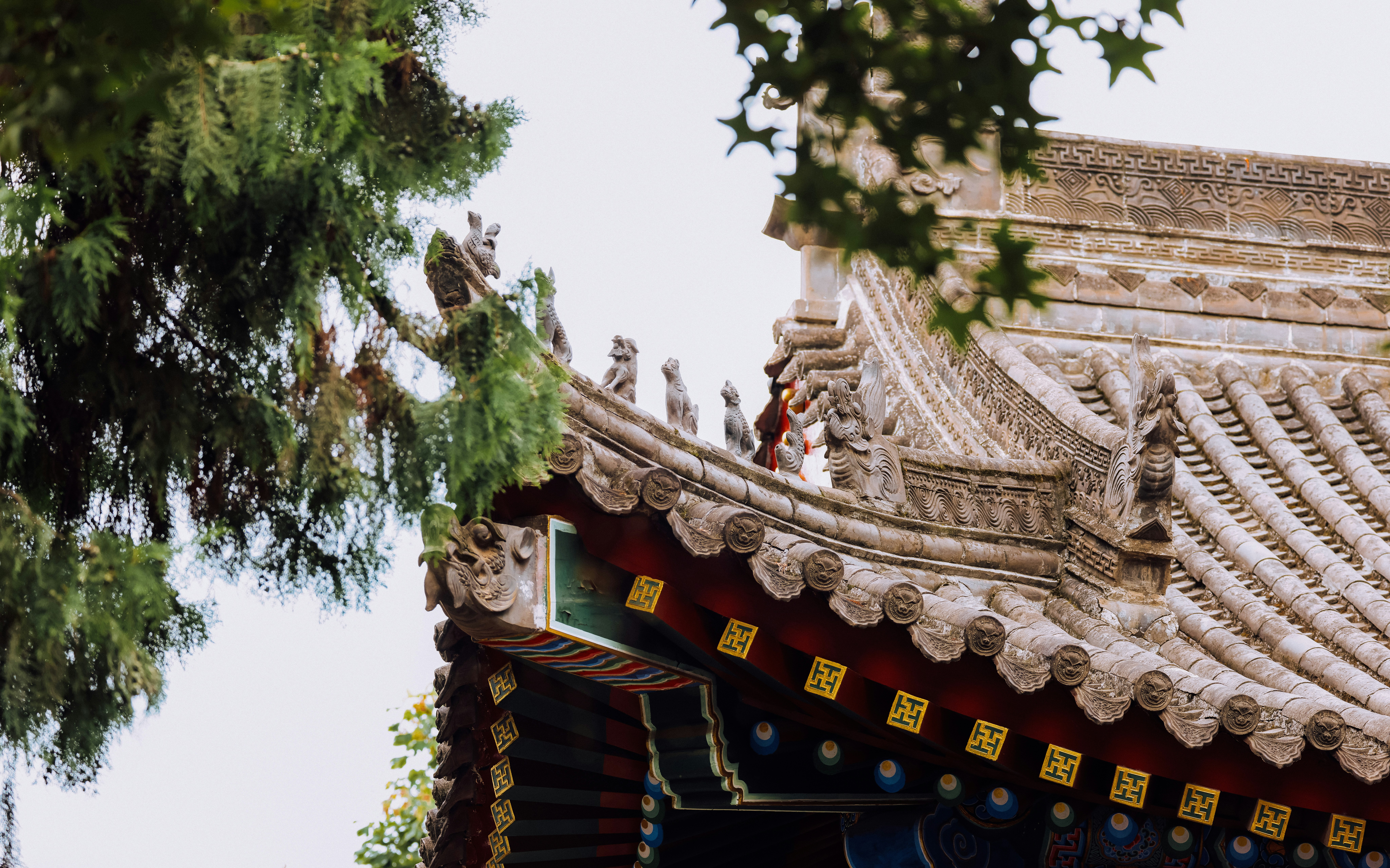 Photo by dickenslin76