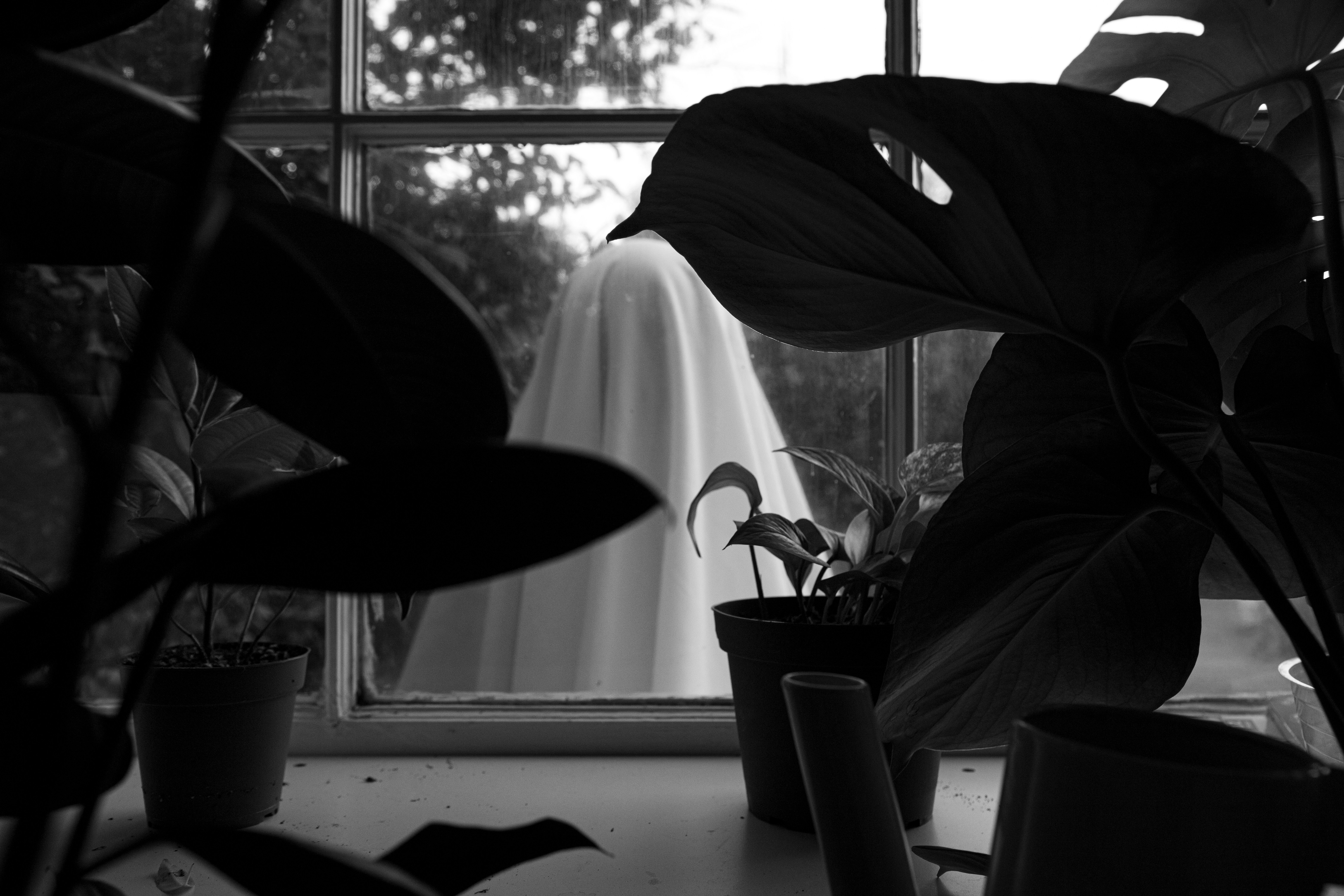 Photo by vicphotos99