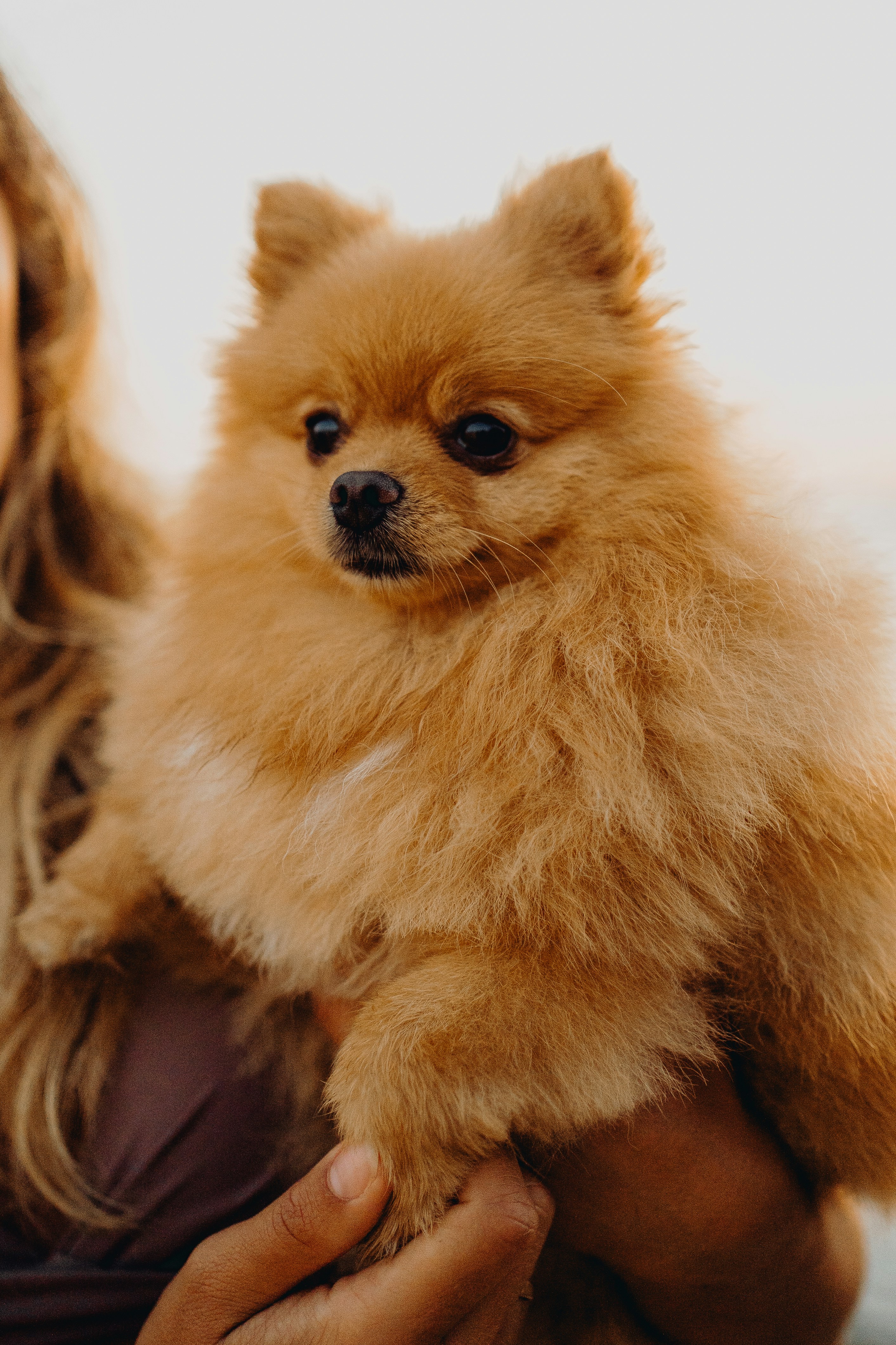 Photo by elisadventure