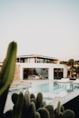 A cactus next to a swimming pool with a house in the background
