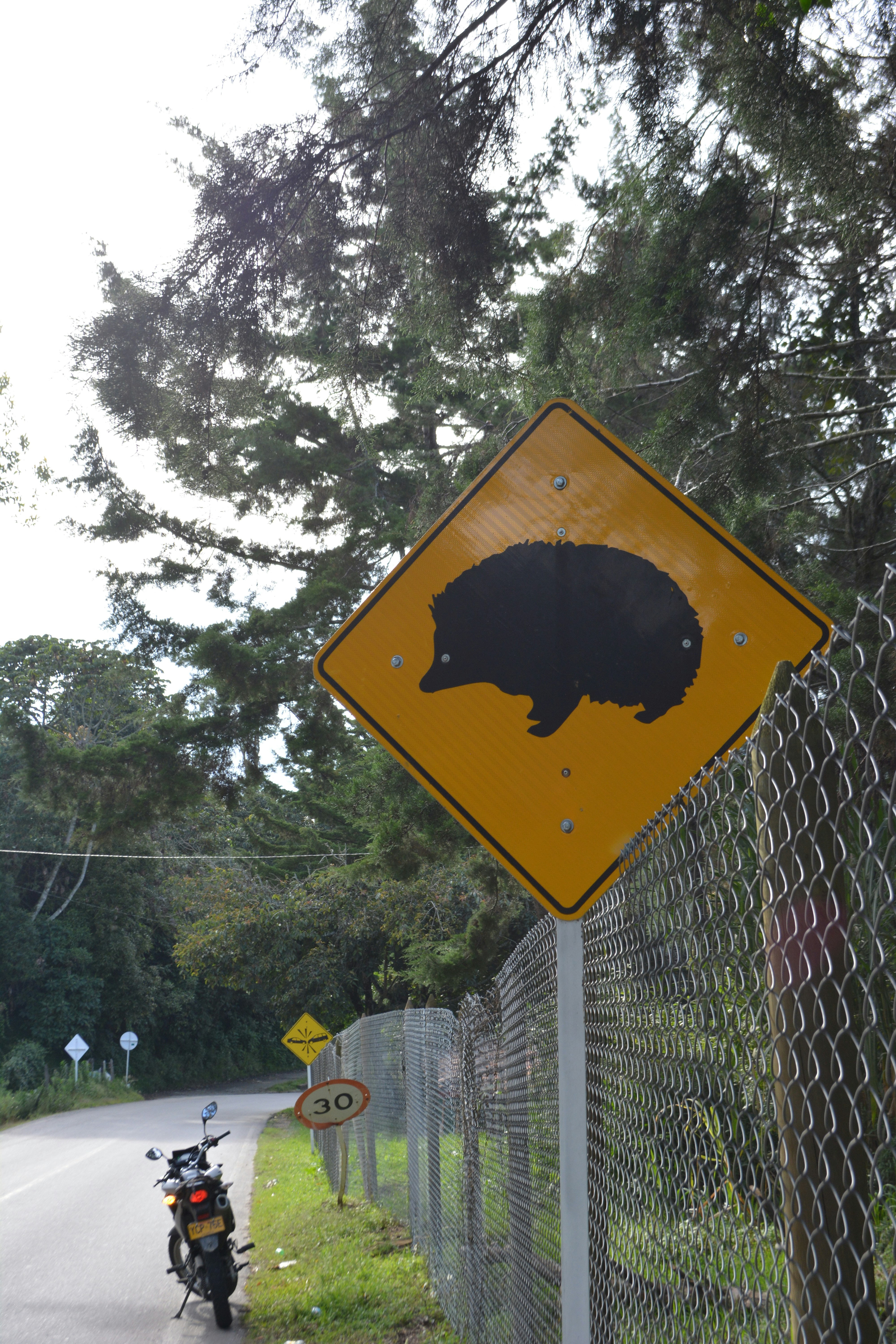 A bear crossing sign on the side of a road