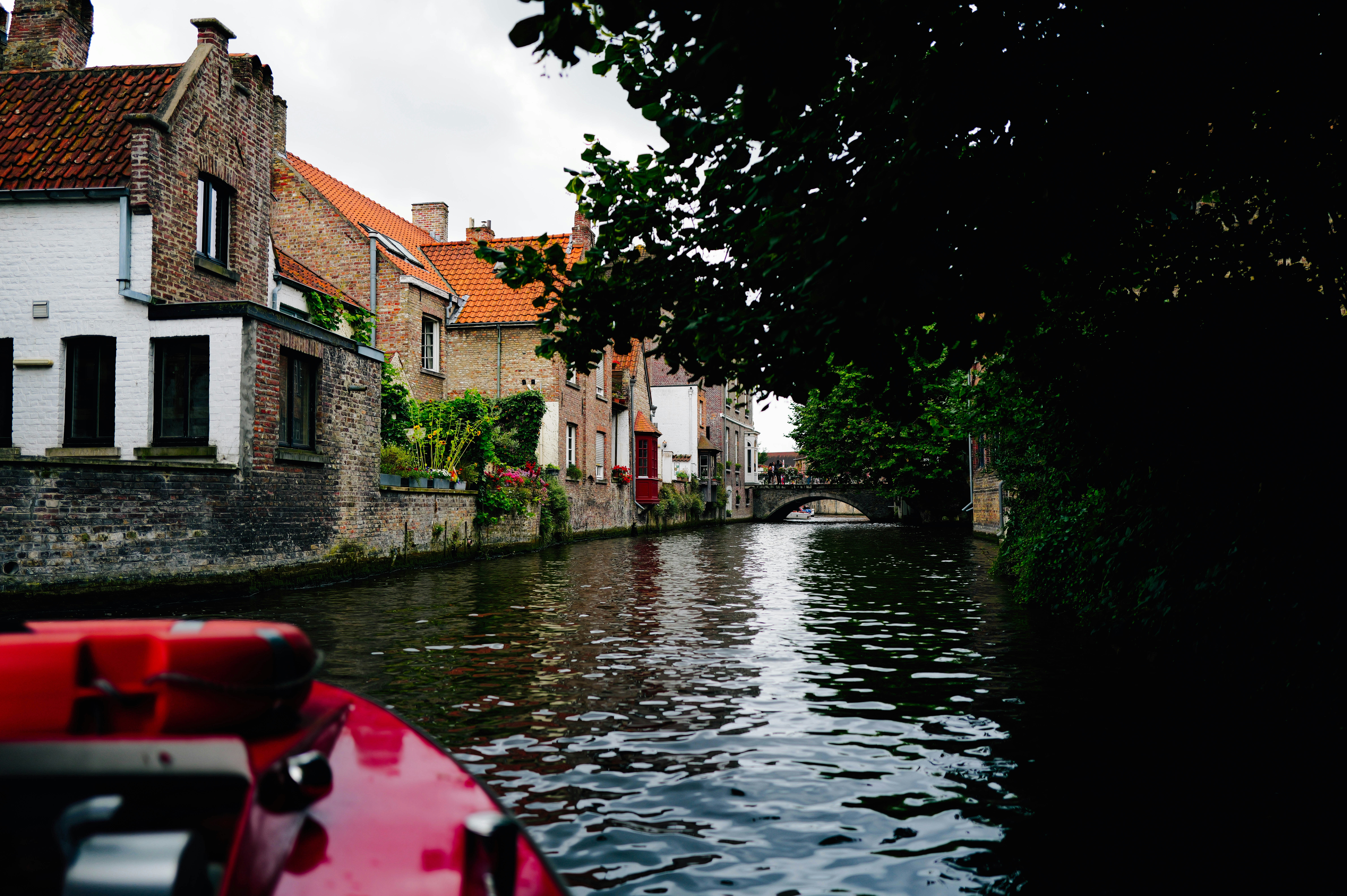 Photo by adrienolichon