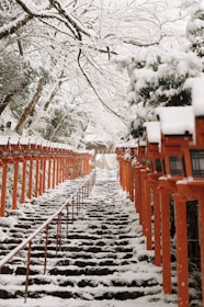 A row of red mail boxes covered in snow