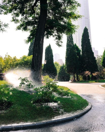 A fire hydrant spewing water onto a street