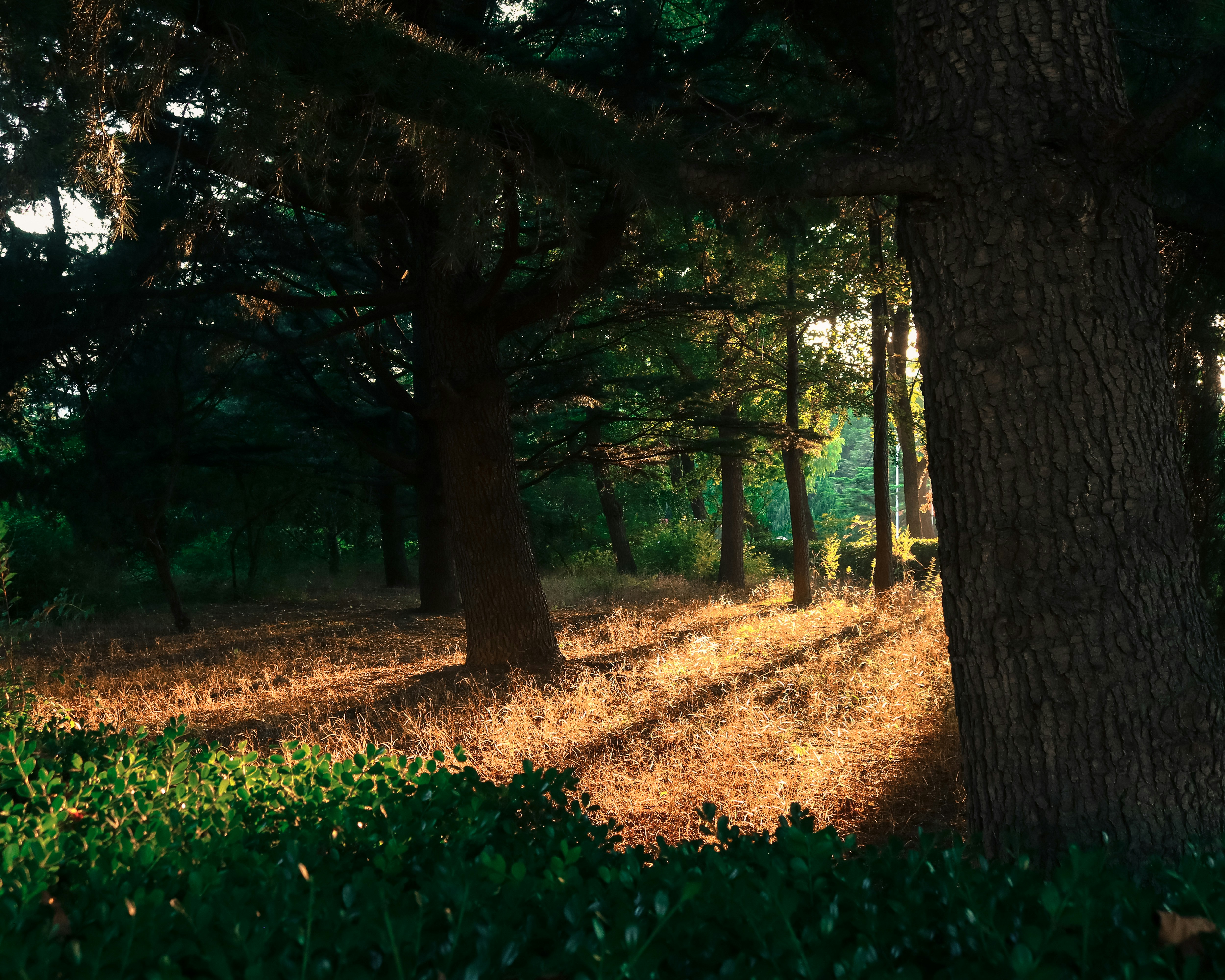 Photo by dannymorgunovsky