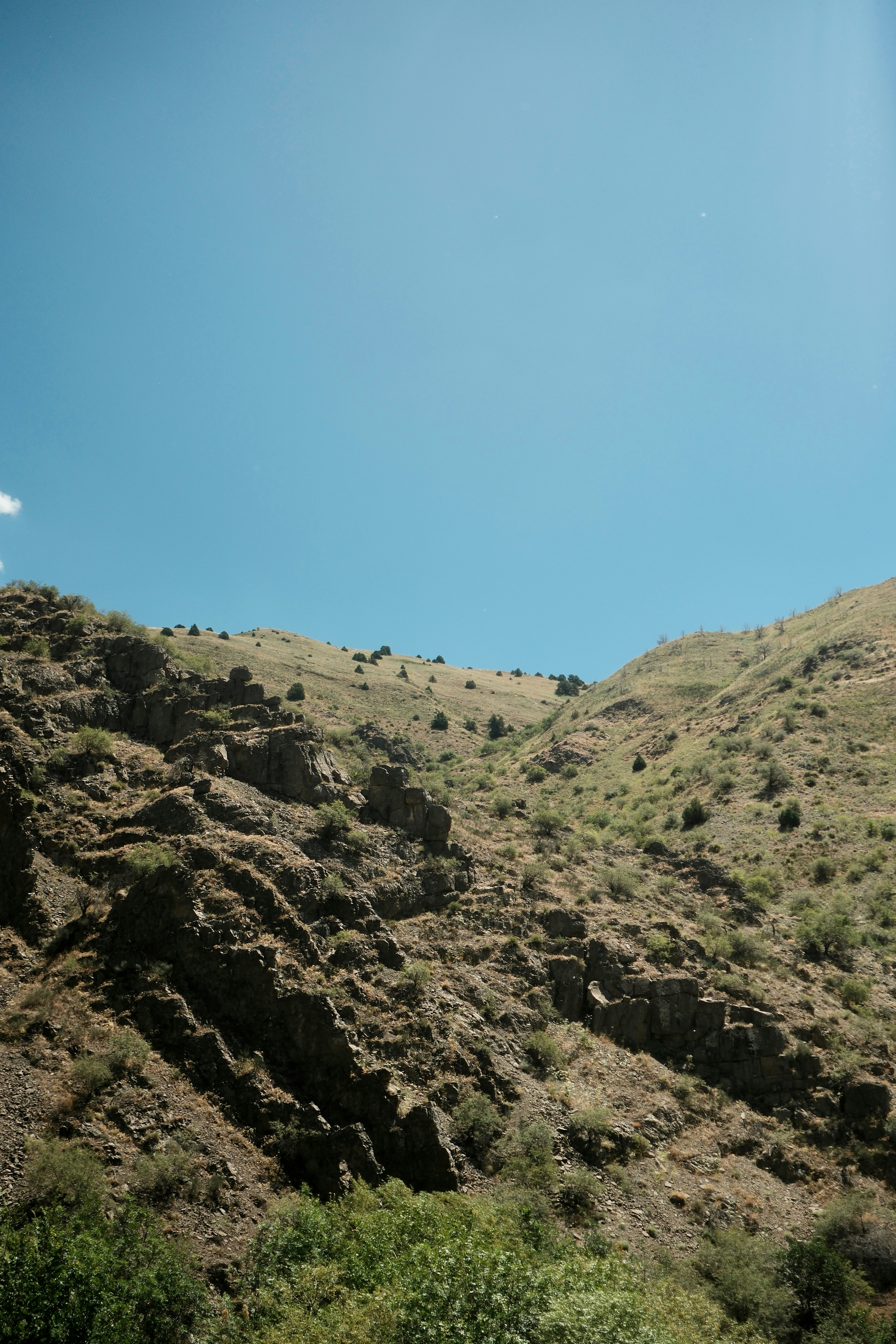 Photo by alekseixagafonov