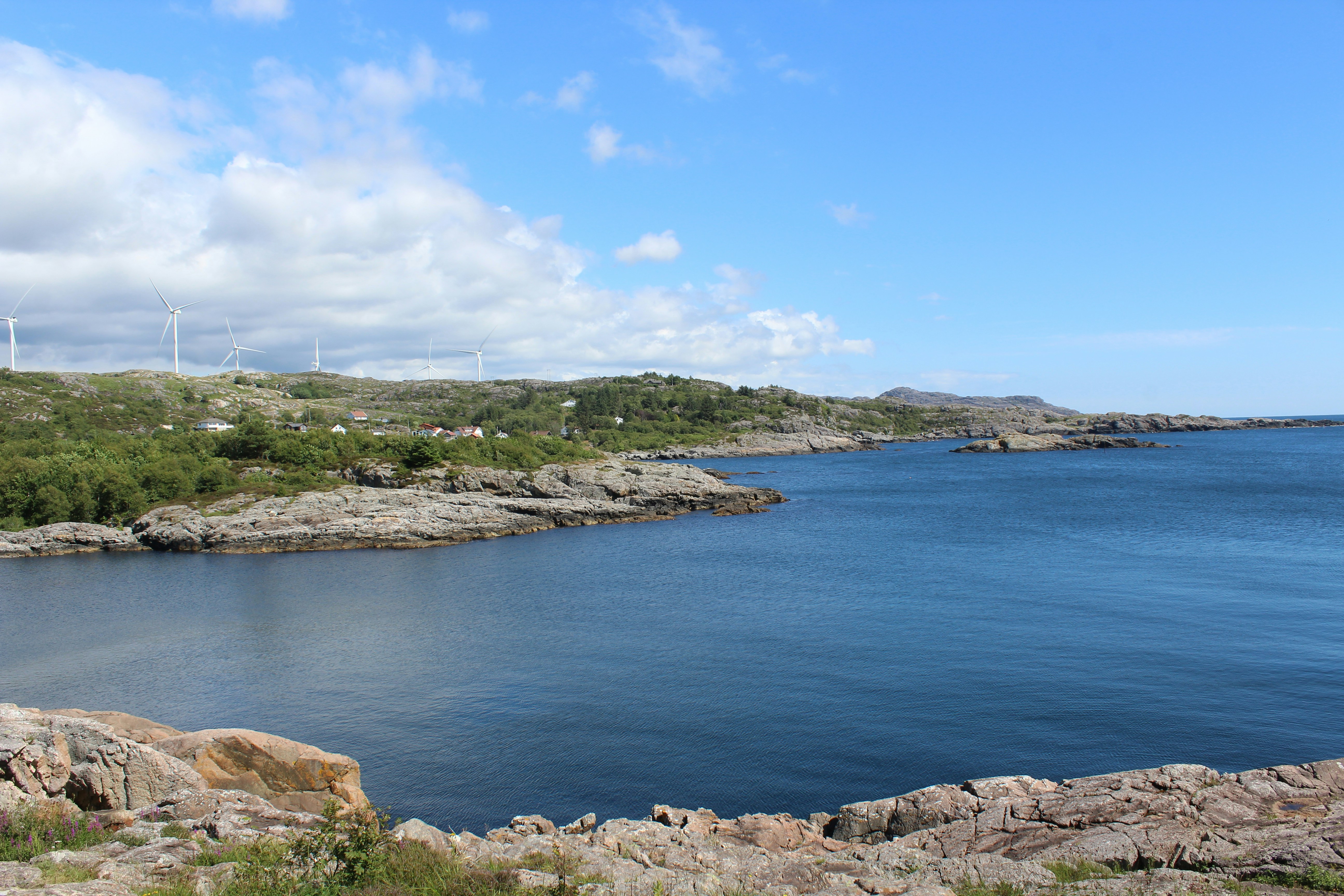 Photo by alys_skowron