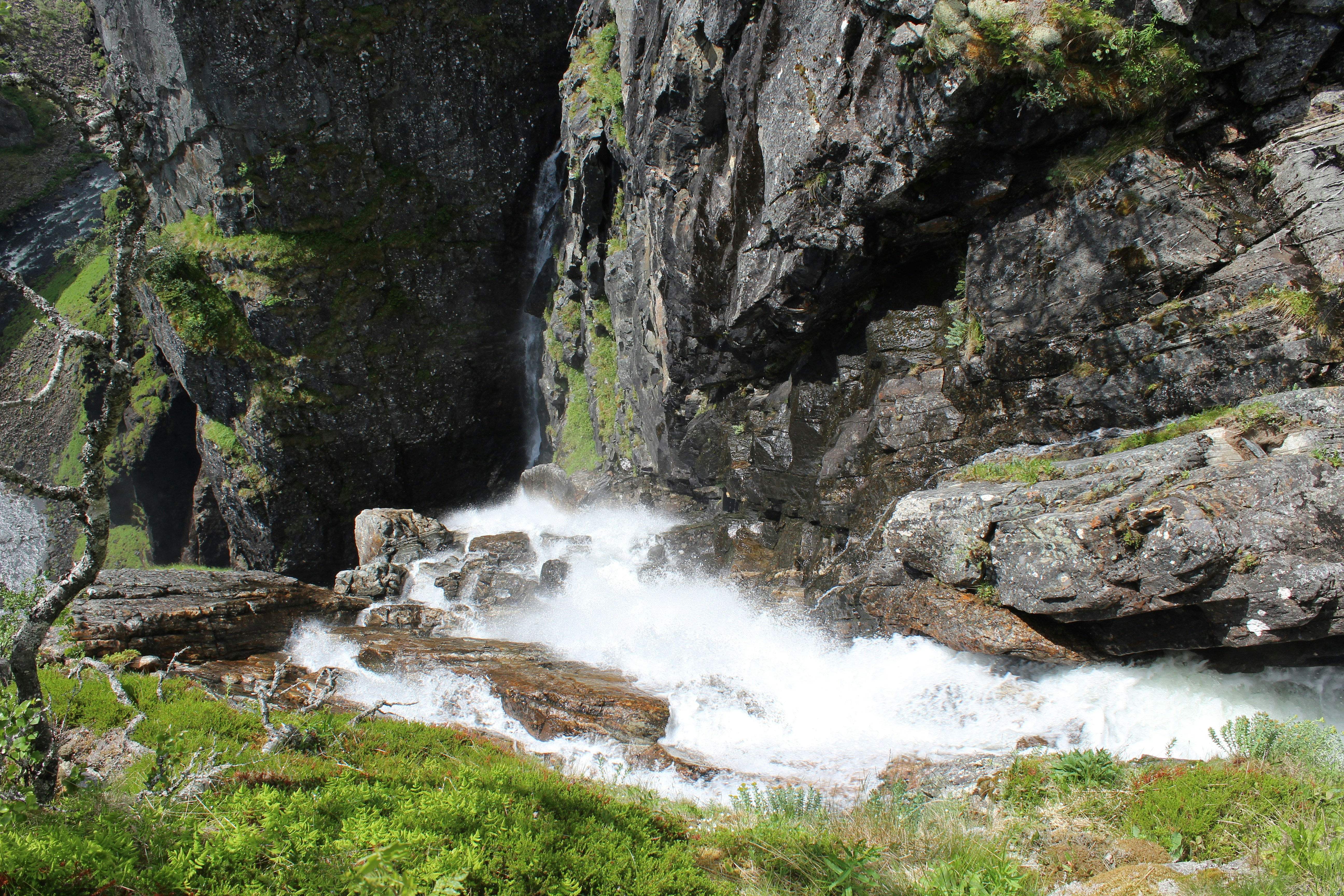 Photo by alys_skowron