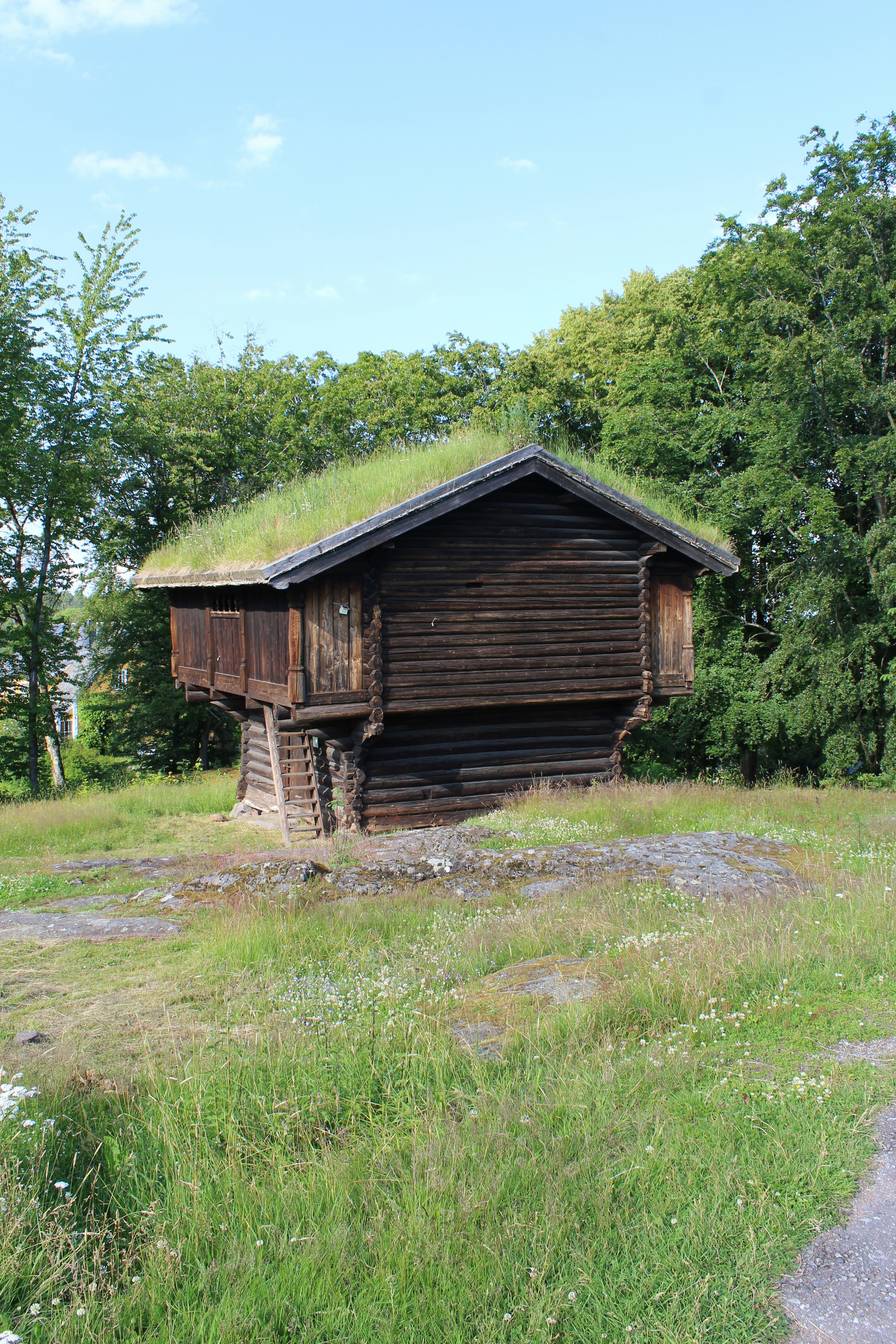 Photo by alys_skowron