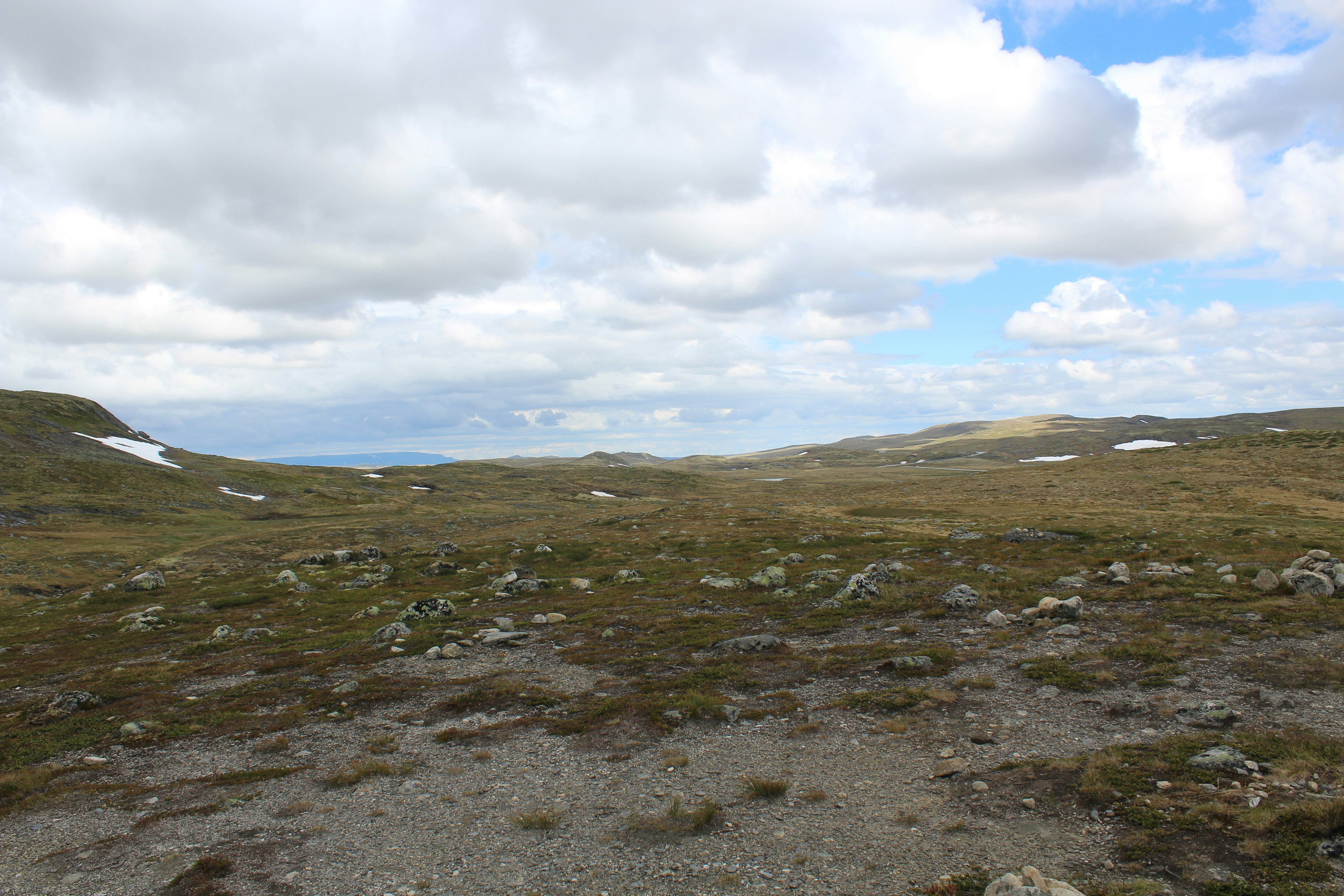 Photo by alys_skowron