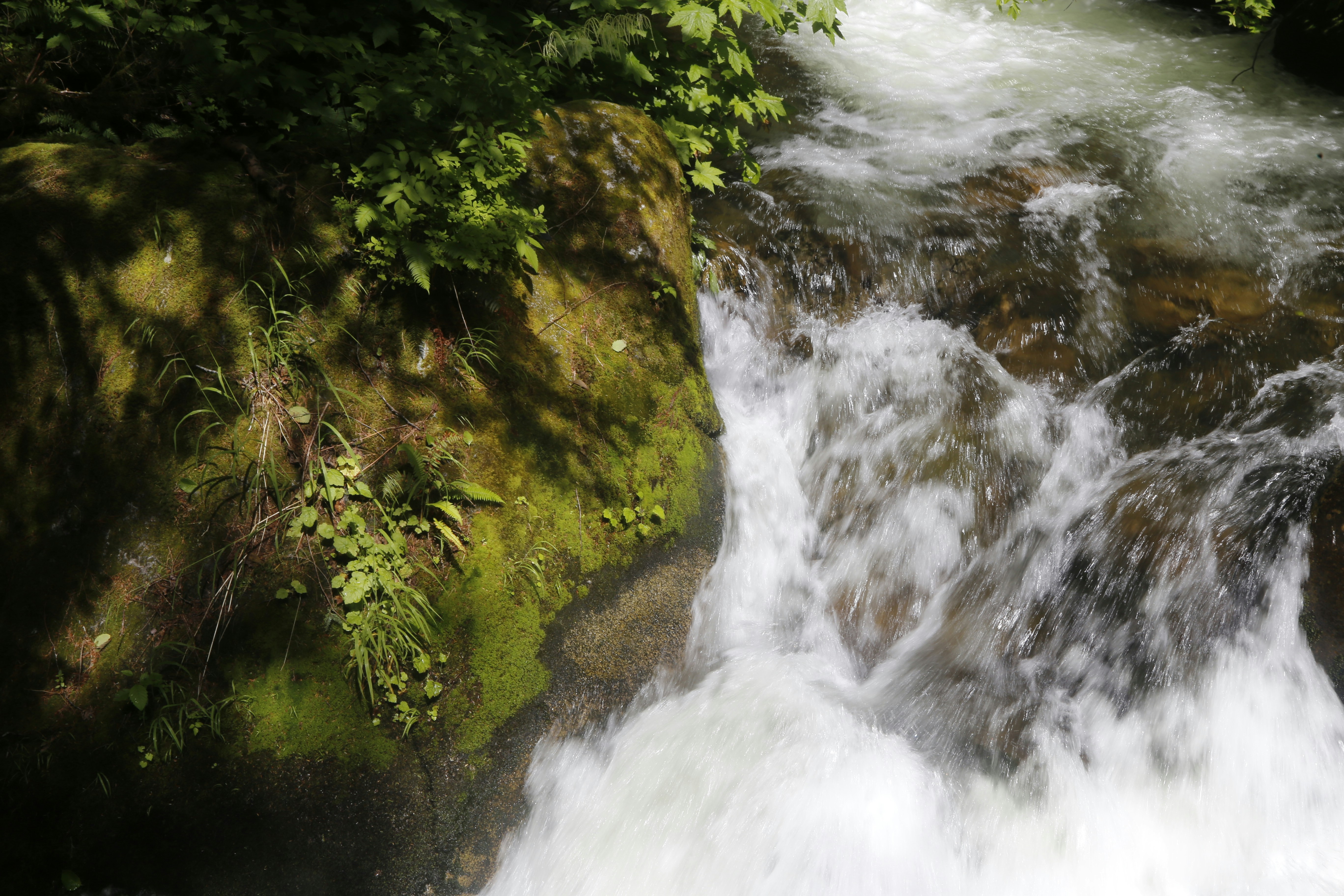 Photo by georgeiermann