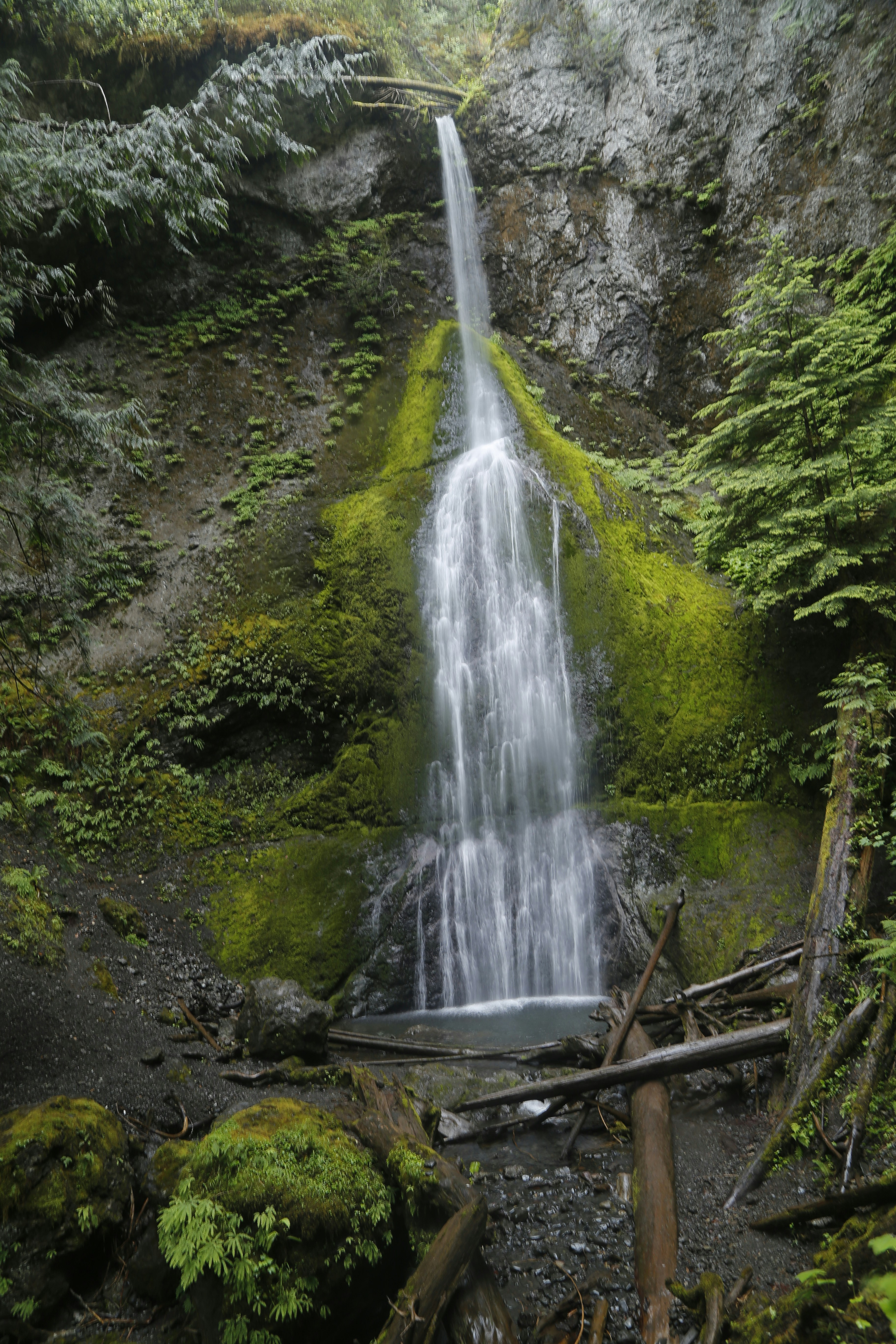 Photo by georgeiermann