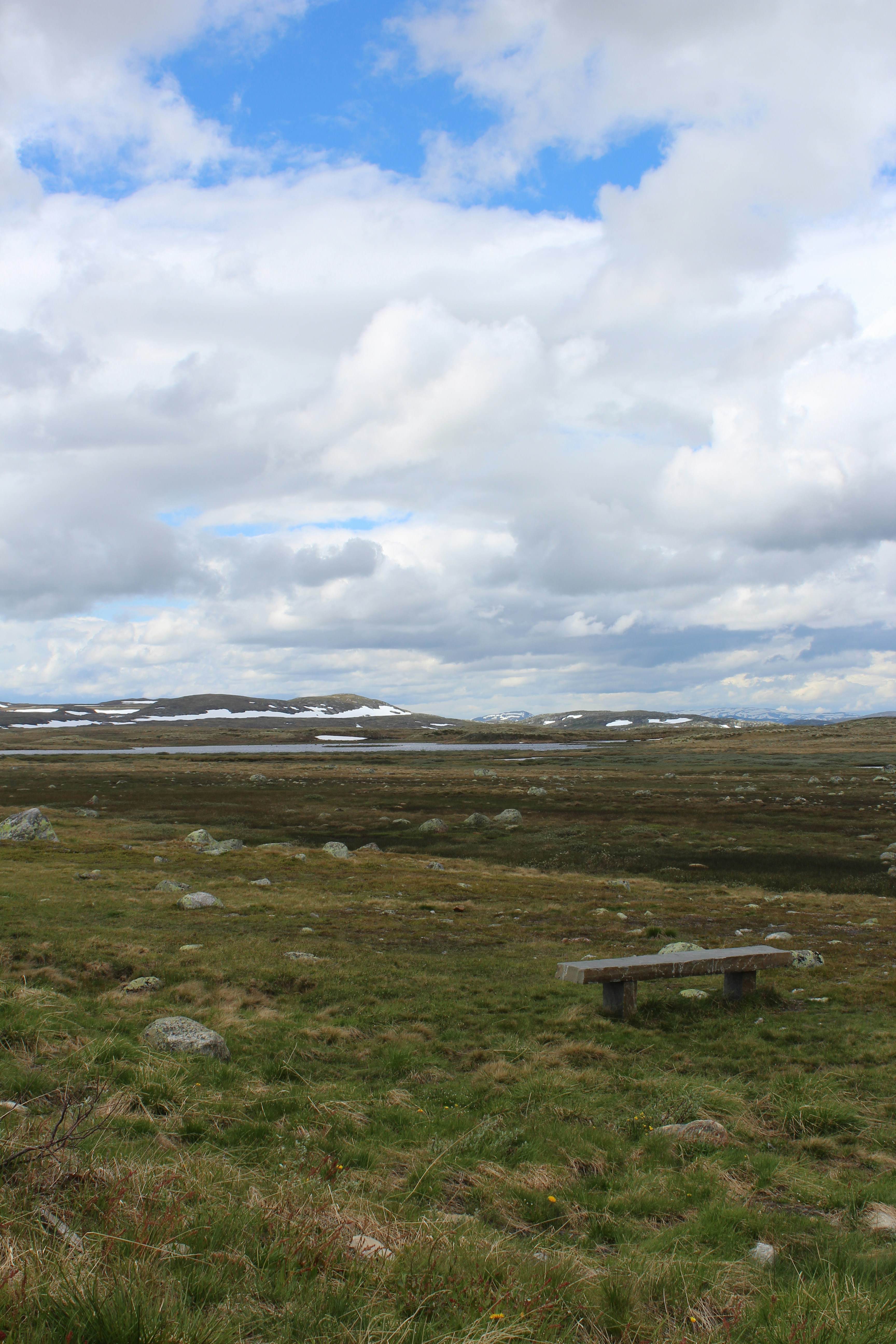 Photo by alys_skowron